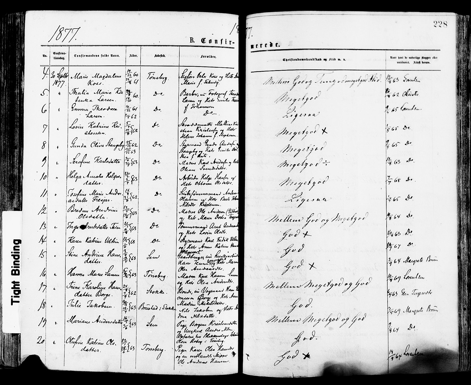 Tønsberg kirkebøker, AV/SAKO-A-330/F/Fa/L0010: Parish register (official) no. I 10, 1874-1880, p. 228