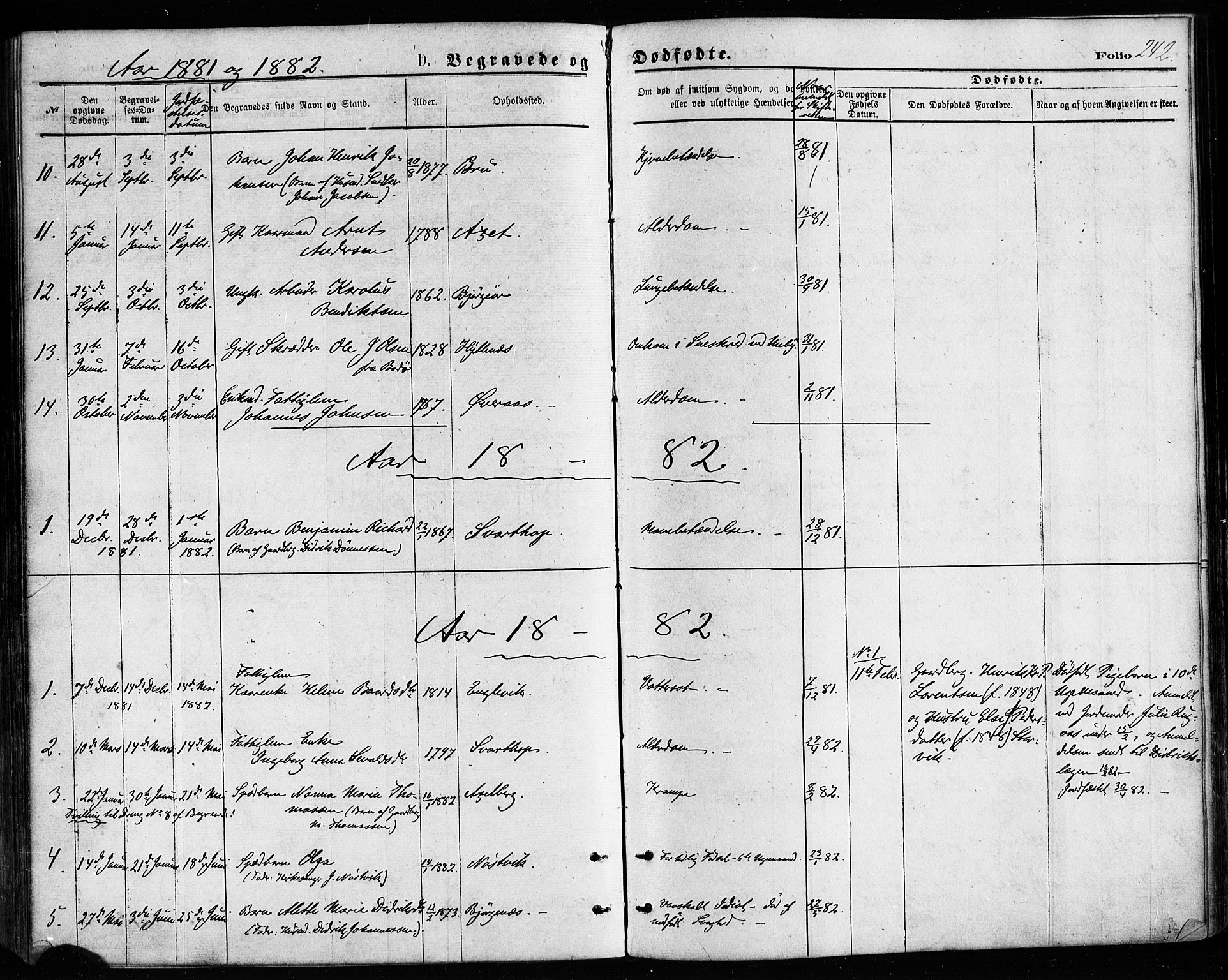 Ministerialprotokoller, klokkerbøker og fødselsregistre - Nordland, AV/SAT-A-1459/814/L0225: Parish register (official) no. 814A06, 1875-1885, p. 242