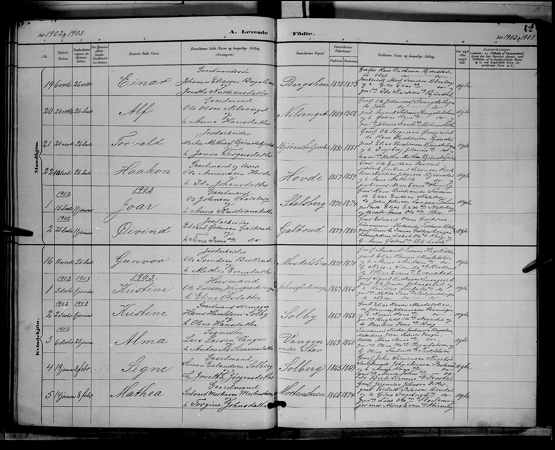 Øyer prestekontor, SAH/PREST-084/H/Ha/Hab/L0004: Parish register (copy) no. 4, 1894-1905, p. 42