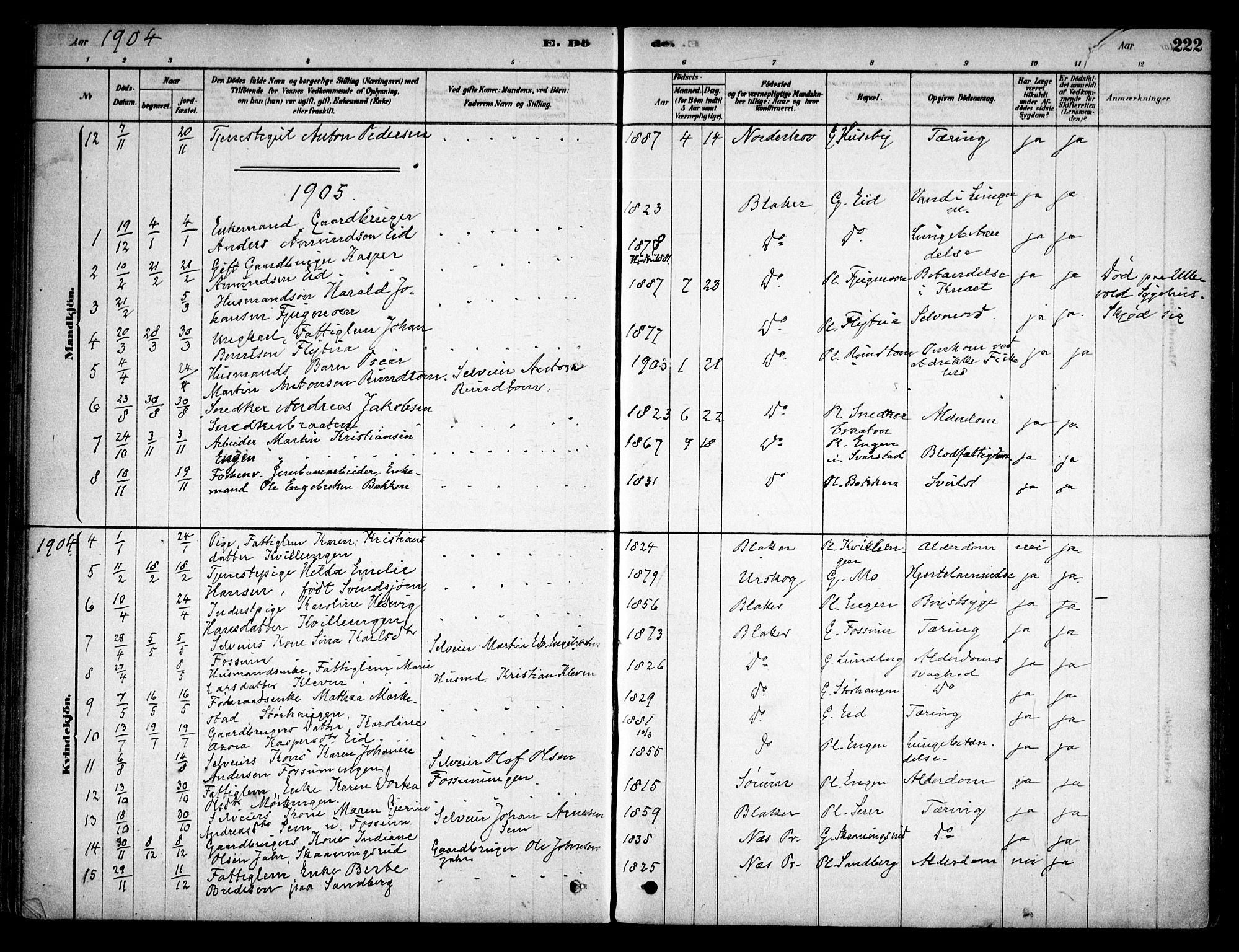 Aurskog prestekontor Kirkebøker, SAO/A-10304a/F/Fb/L0001: Parish register (official) no. II 1, 1878-1909, p. 222
