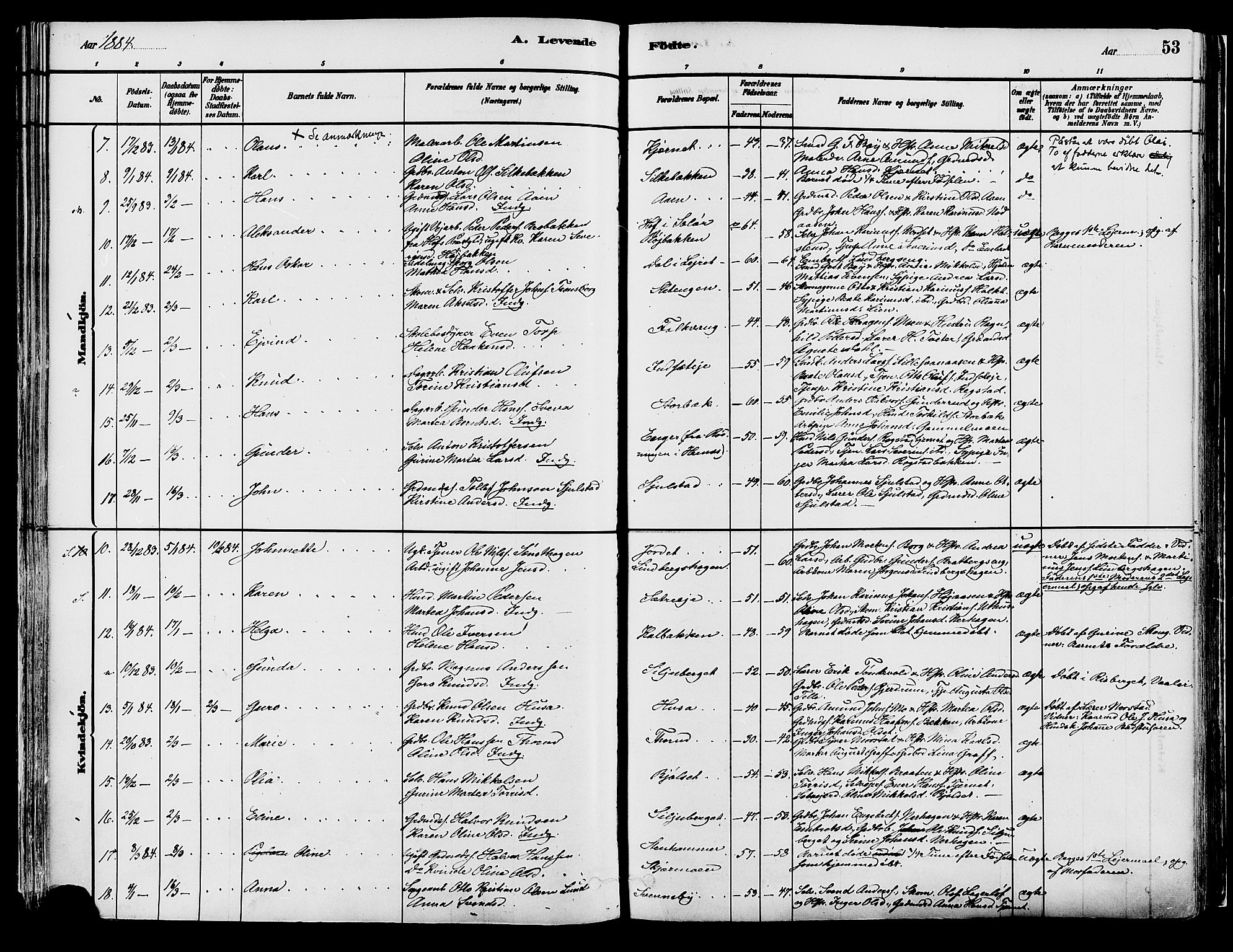 Elverum prestekontor, AV/SAH-PREST-044/H/Ha/Haa/L0013: Parish register (official) no. 13, 1880-1890, p. 53