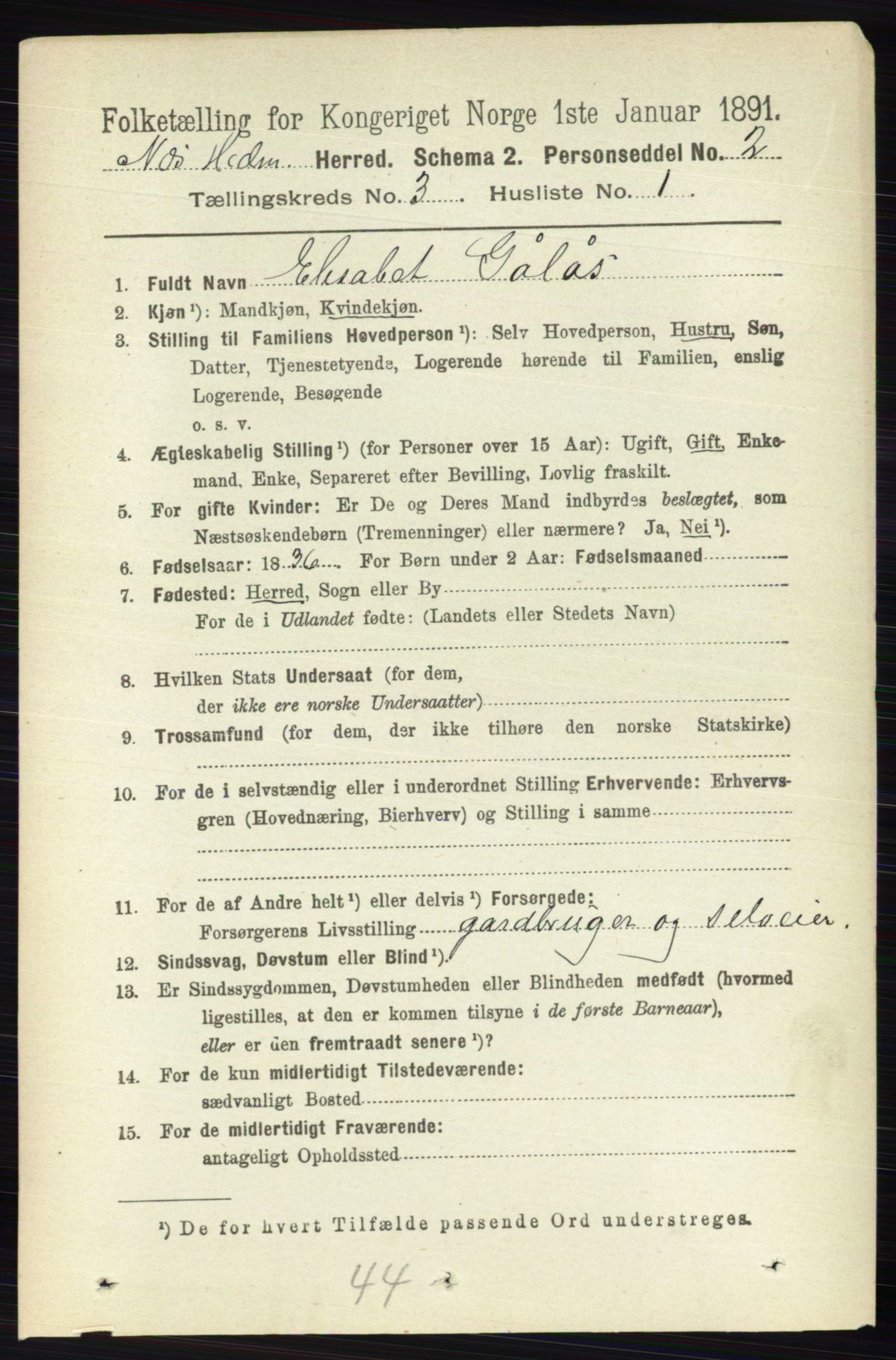 RA, 1891 census for 0411 Nes, 1891, p. 1589