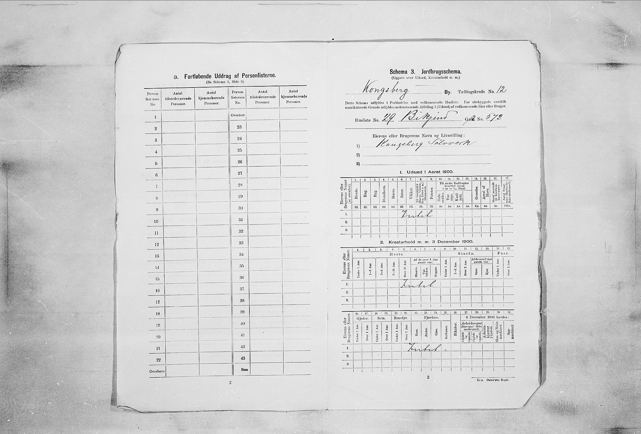 RA, 1900 census for Kongsberg, 1900, p. 2232