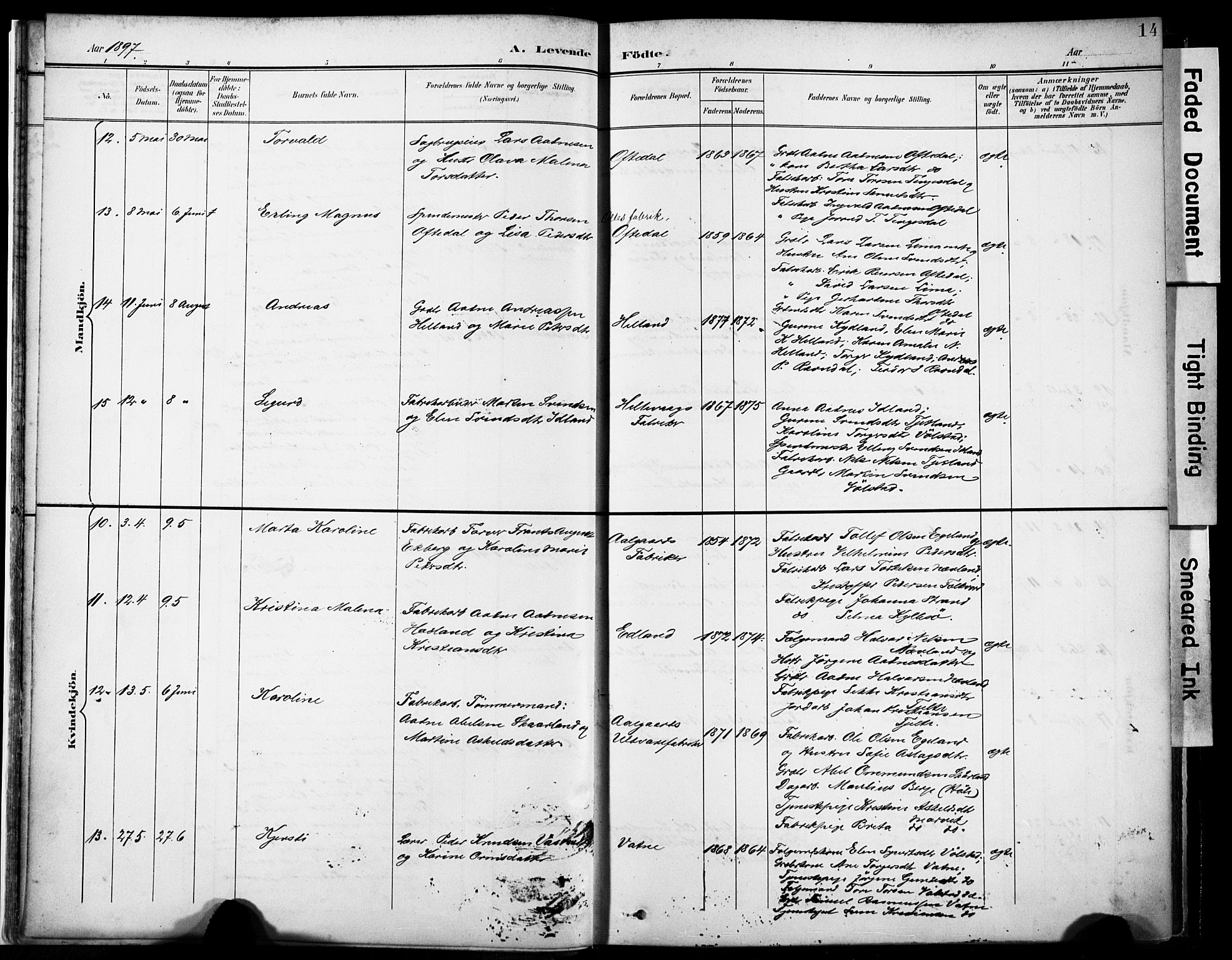 Lye sokneprestkontor, AV/SAST-A-101794/001/30BA/L0012: Parish register (official) no. A 11, 1896-1909, p. 14