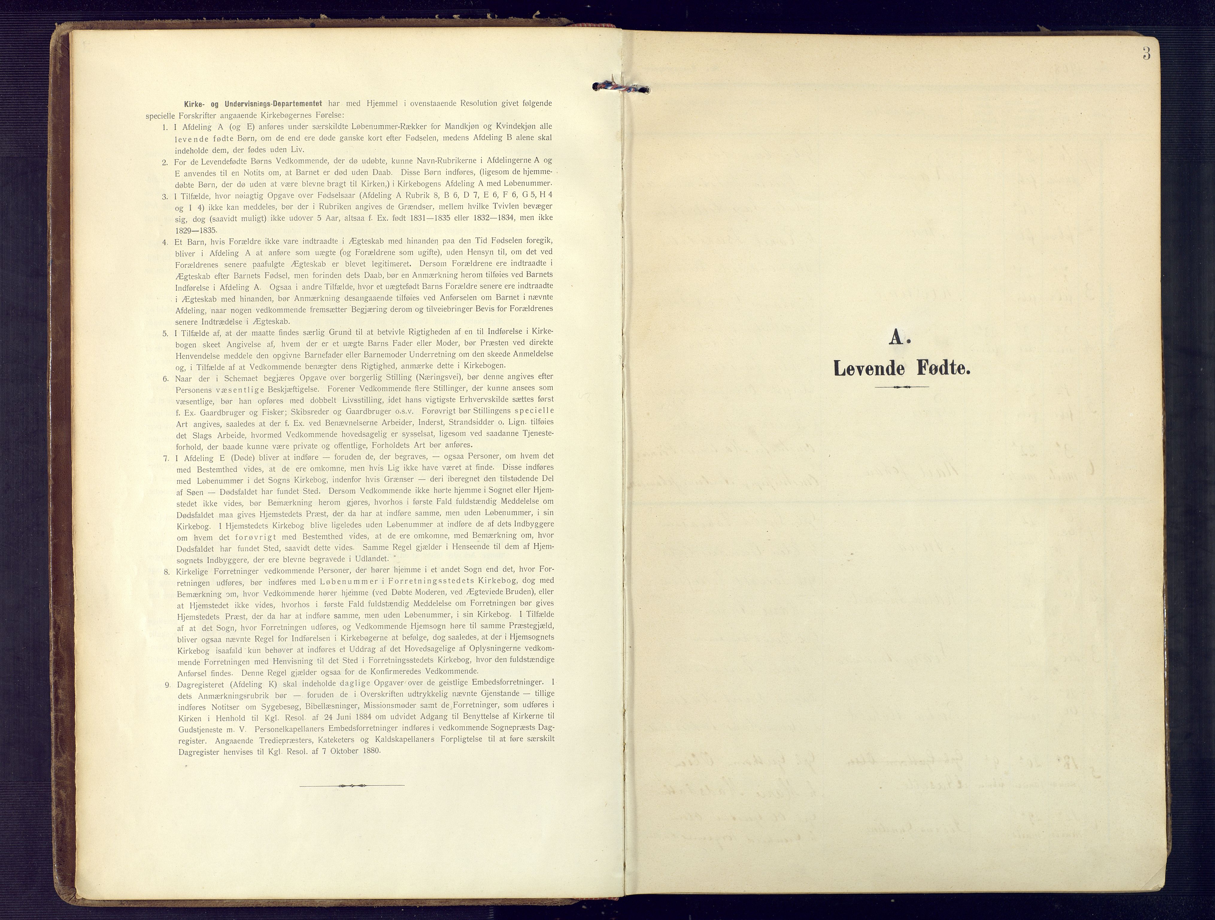 Birkenes sokneprestkontor, SAK/1111-0004/F/Fa/L0006: Parish register (official) no. A 6, 1908-1932, p. 3