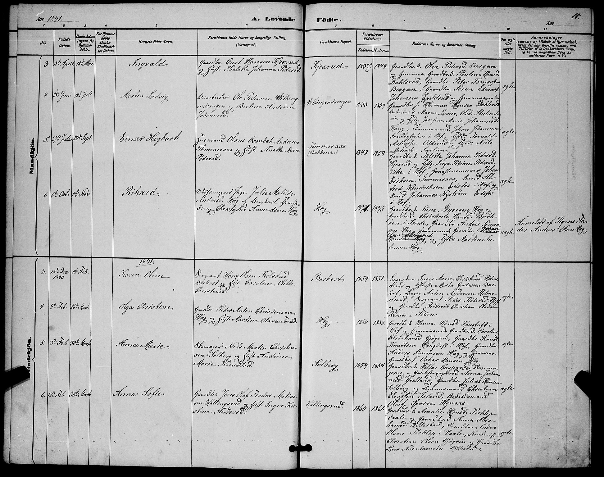 Botne kirkebøker, SAKO/A-340/G/Gb/L0003: Parish register (copy) no. II 3, 1887-1899, p. 10