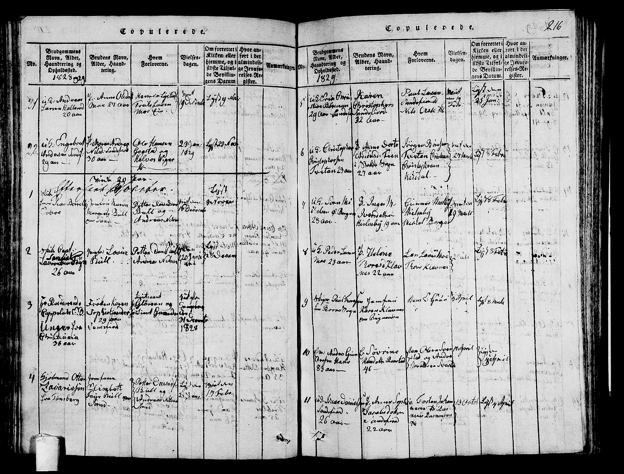 Sandar kirkebøker, AV/SAKO-A-243/G/Ga/L0001: Parish register (copy) no. 1, 1814-1835, p. 216