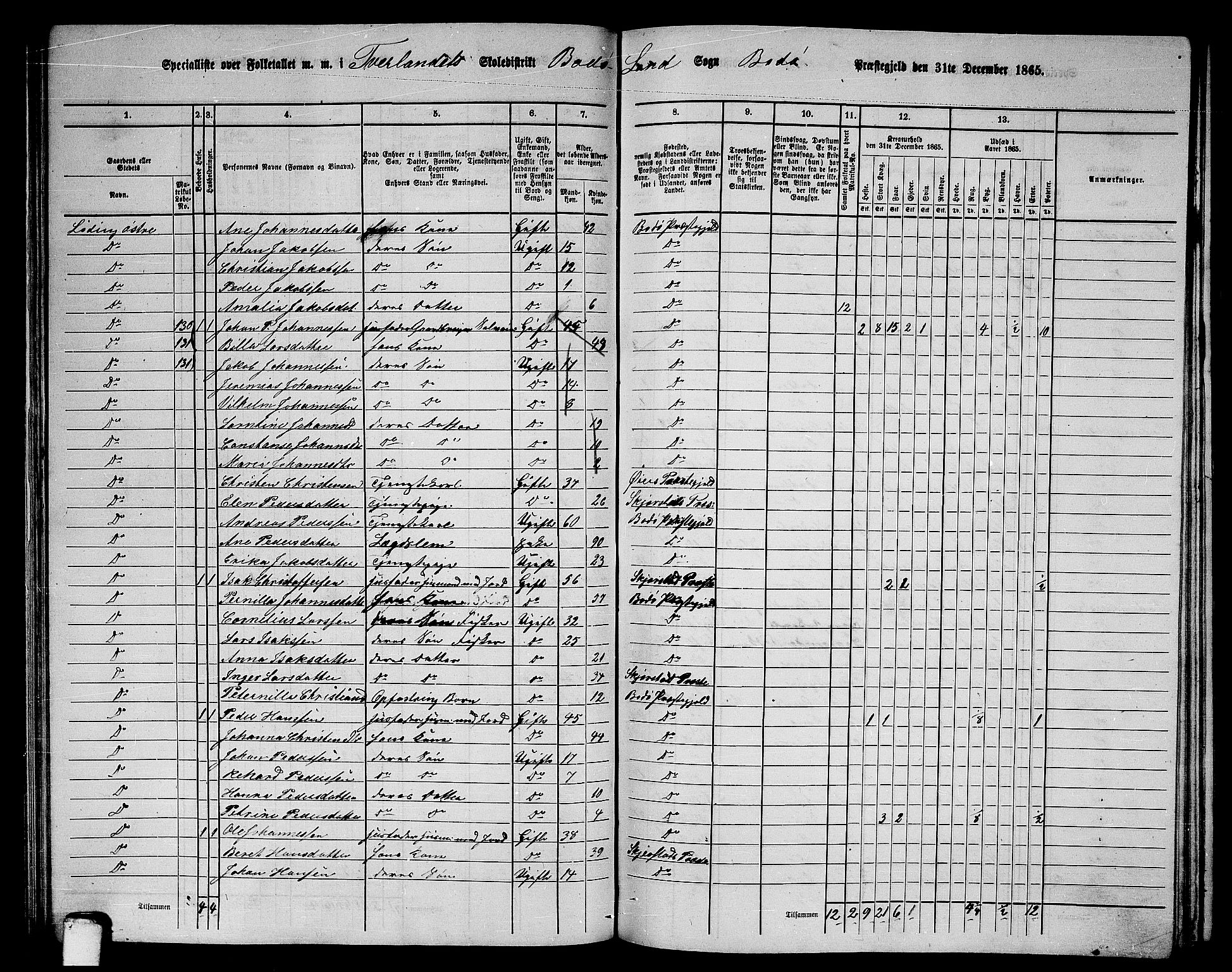 RA, 1865 census for Bodø/Bodø, 1865, p. 78