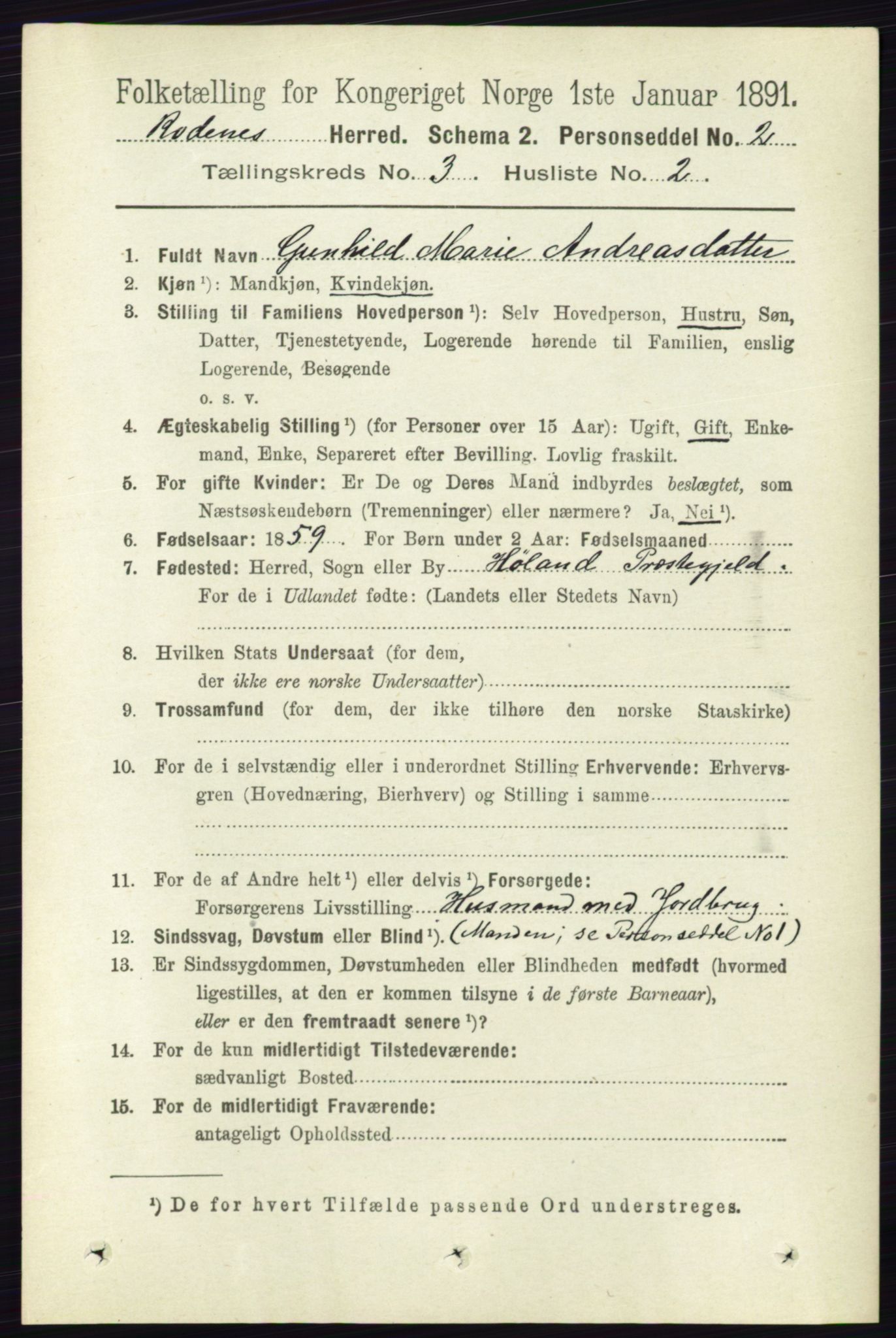 RA, 1891 census for 0120 Rødenes, 1891, p. 1199