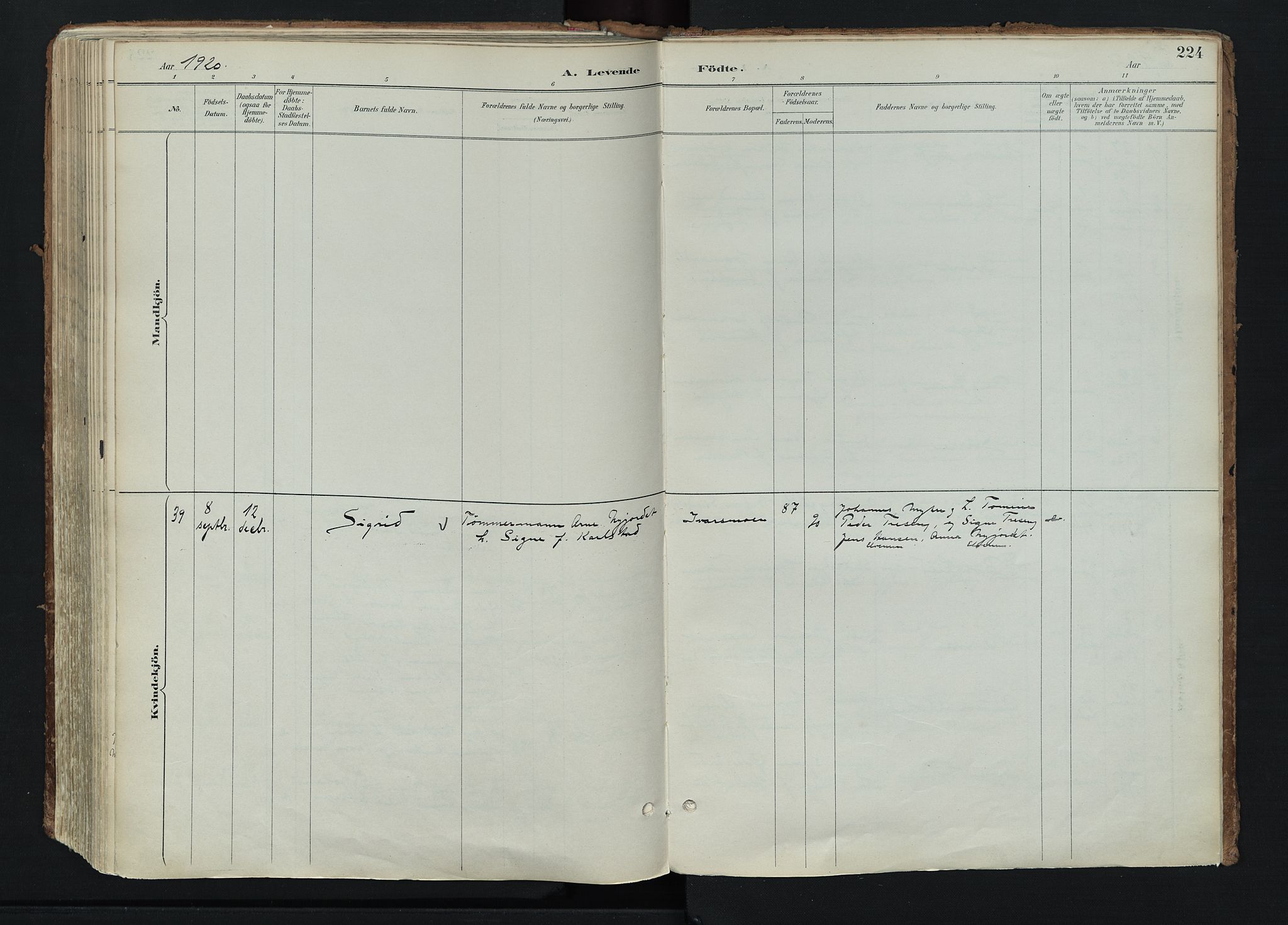 Stor-Elvdal prestekontor, SAH/PREST-052/H/Ha/Haa/L0004: Parish register (official) no. 4, 1890-1922, p. 224