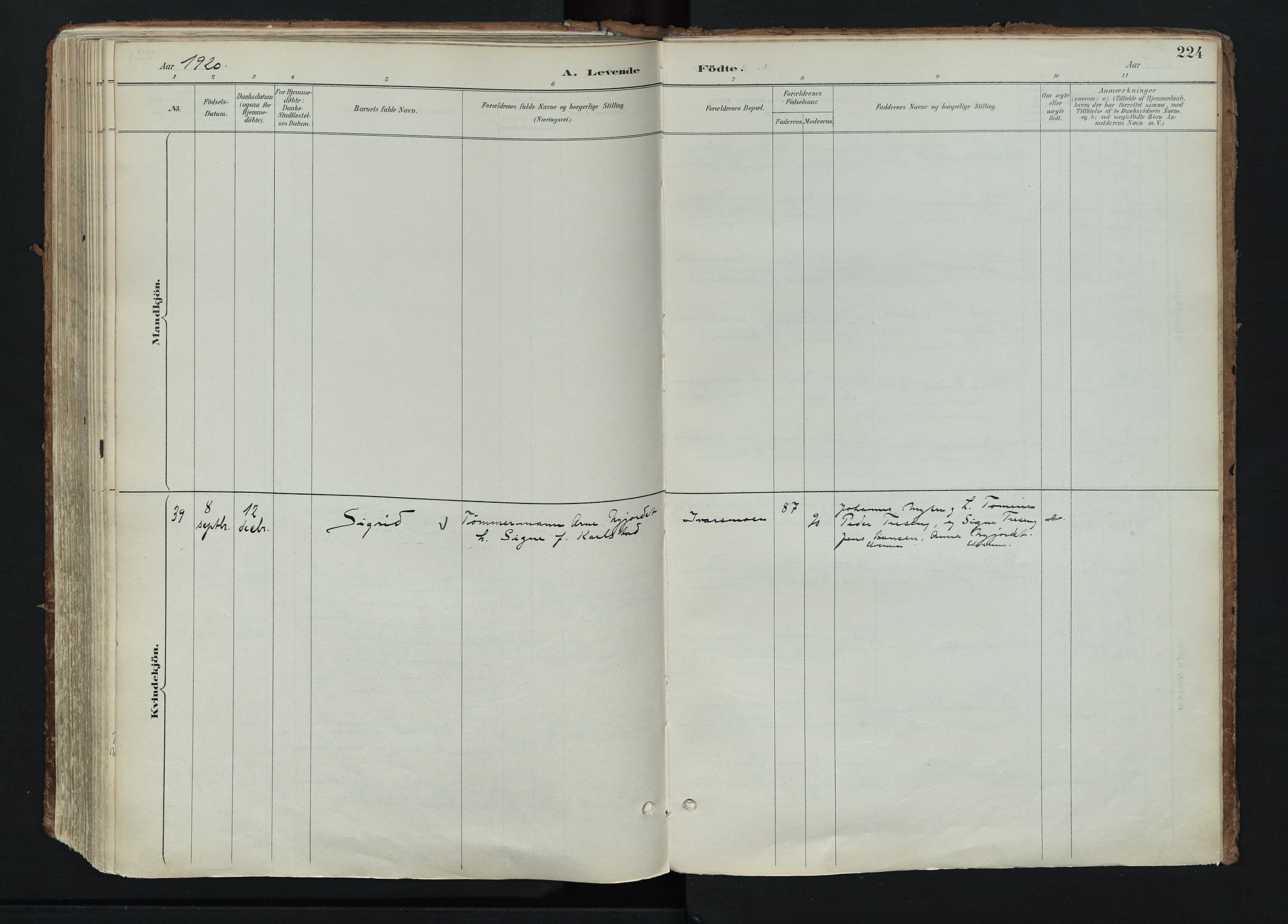 Stor-Elvdal prestekontor, AV/SAH-PREST-052/H/Ha/Haa/L0004: Parish register (official) no. 4, 1890-1922, p. 224