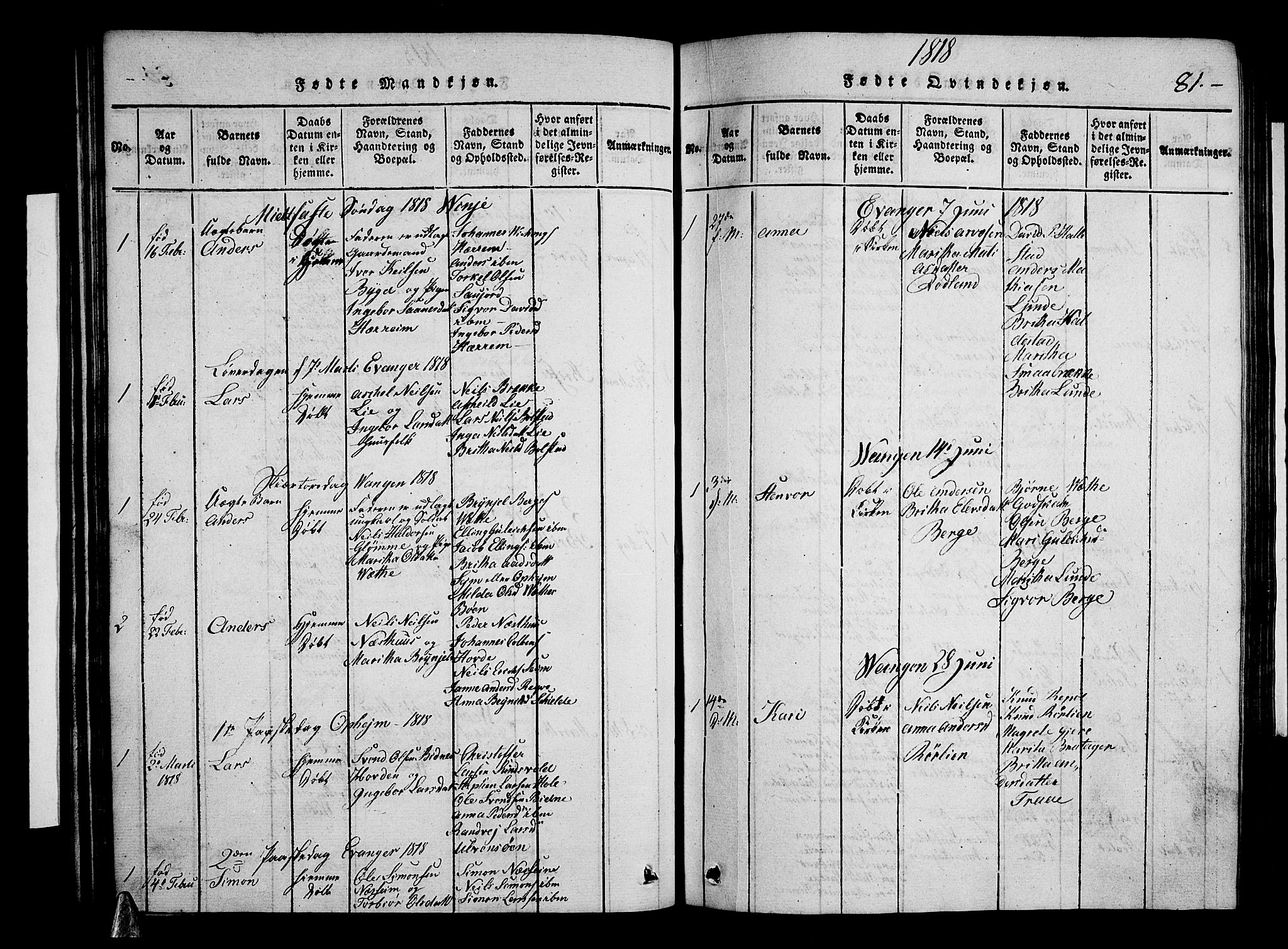 Voss sokneprestembete, SAB/A-79001/H/Hab: Parish register (copy) no. A 1, 1816-1818, p. 81