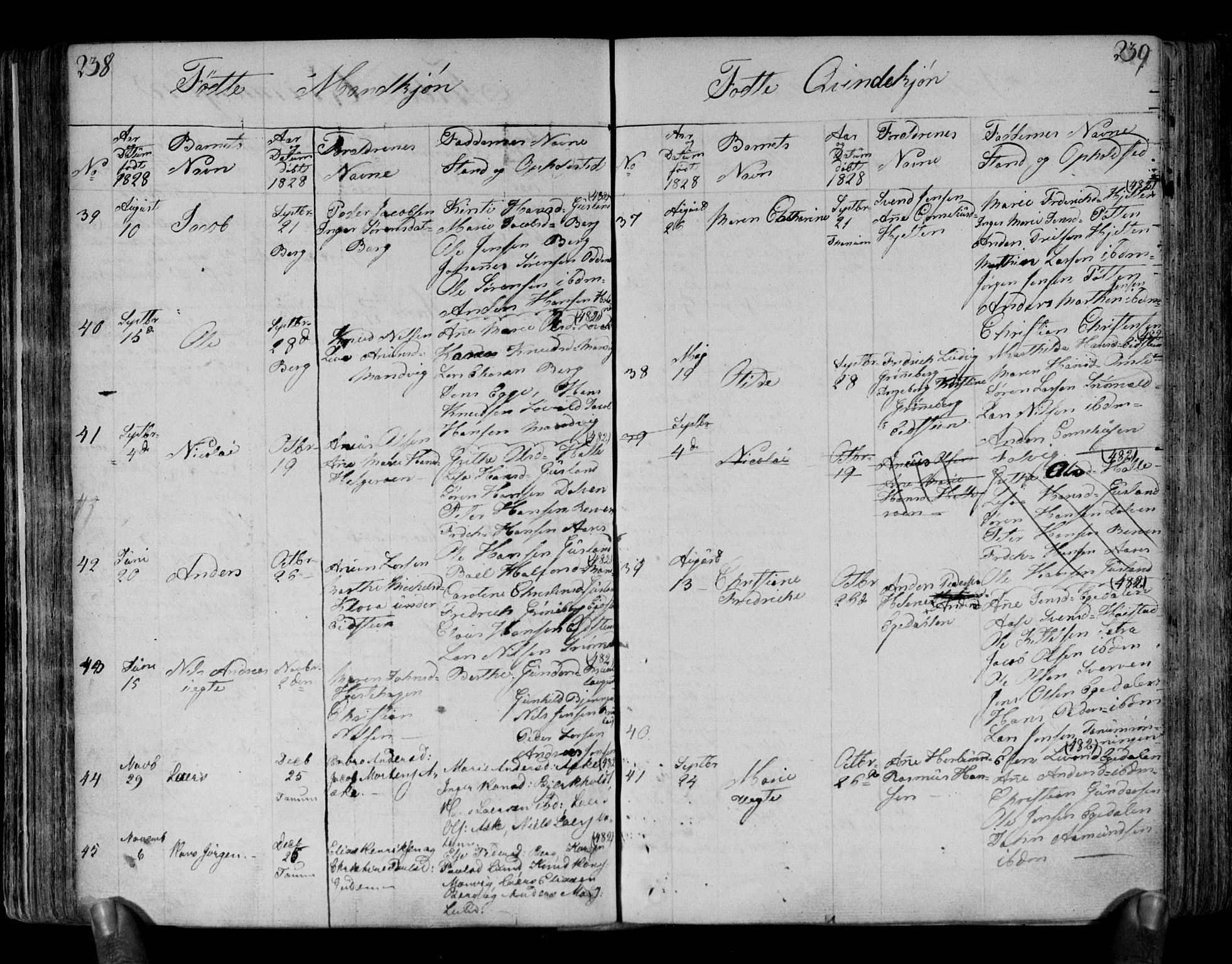 Brunlanes kirkebøker, AV/SAKO-A-342/F/Fa/L0002: Parish register (official) no. I 2, 1802-1834, p. 238-239