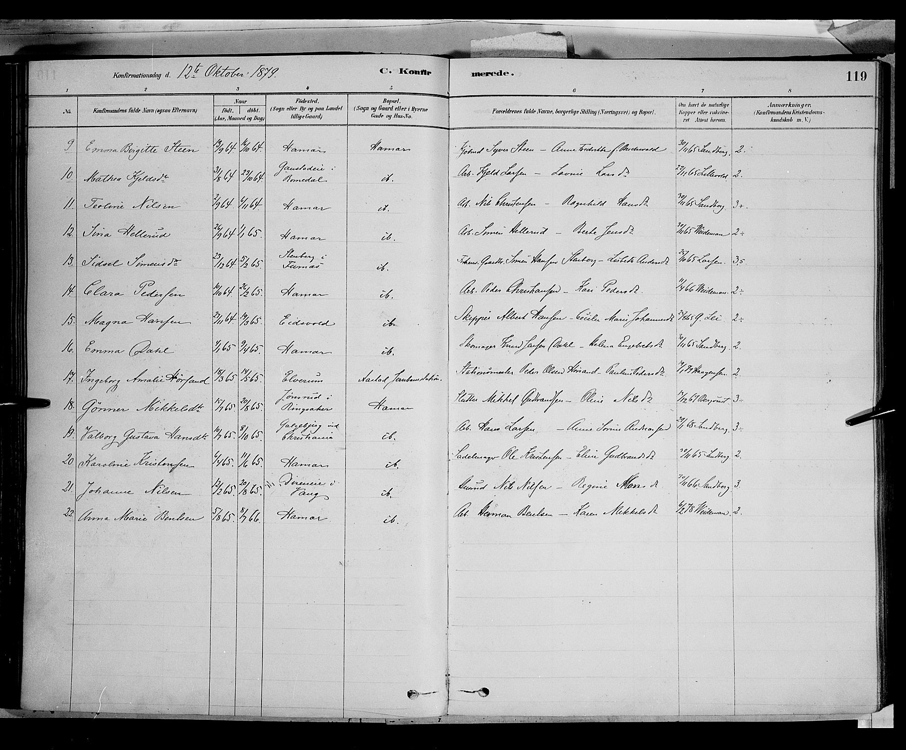 Vang prestekontor, Hedmark, AV/SAH-PREST-008/H/Ha/Haa/L0016: Parish register (official) no. 16, 1878-1889, p. 119