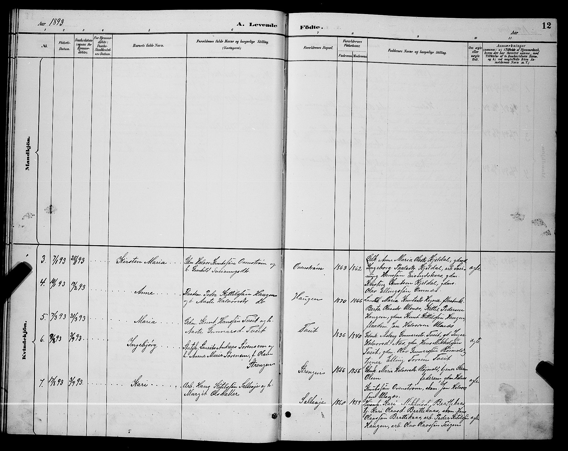Lunde kirkebøker, SAKO/A-282/G/Gb/L0002: Parish register (copy) no. II 2, 1888-1895, p. 12