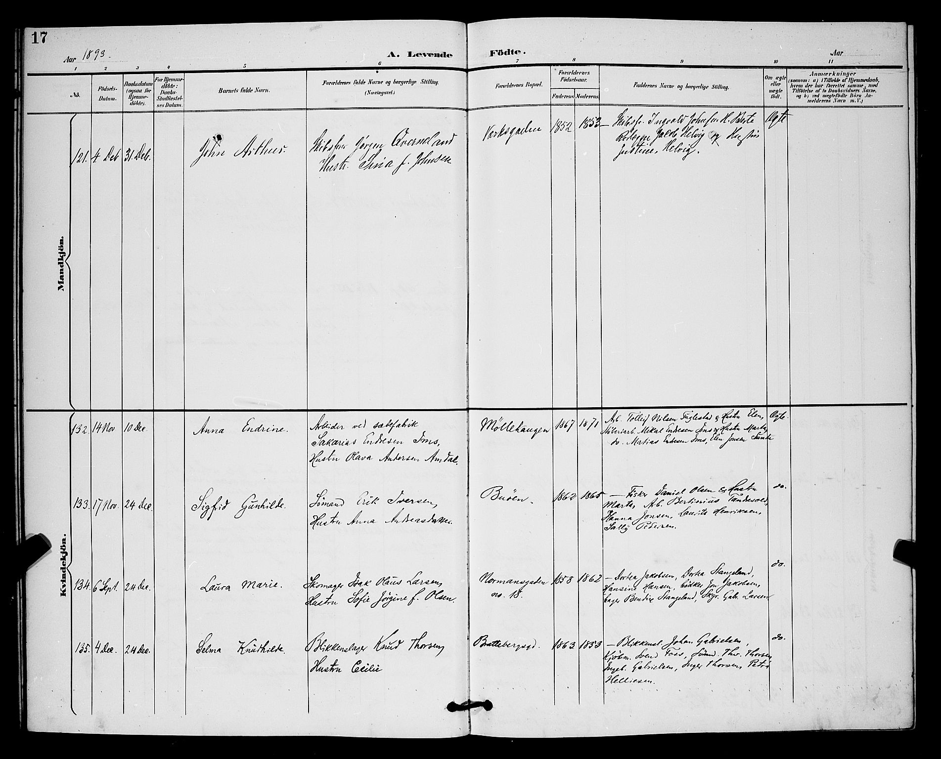 St. Johannes sokneprestkontor, AV/SAST-A-101814/001/30/30BB/L0003: Parish register (copy) no. B 3, 1893-1900, p. 17