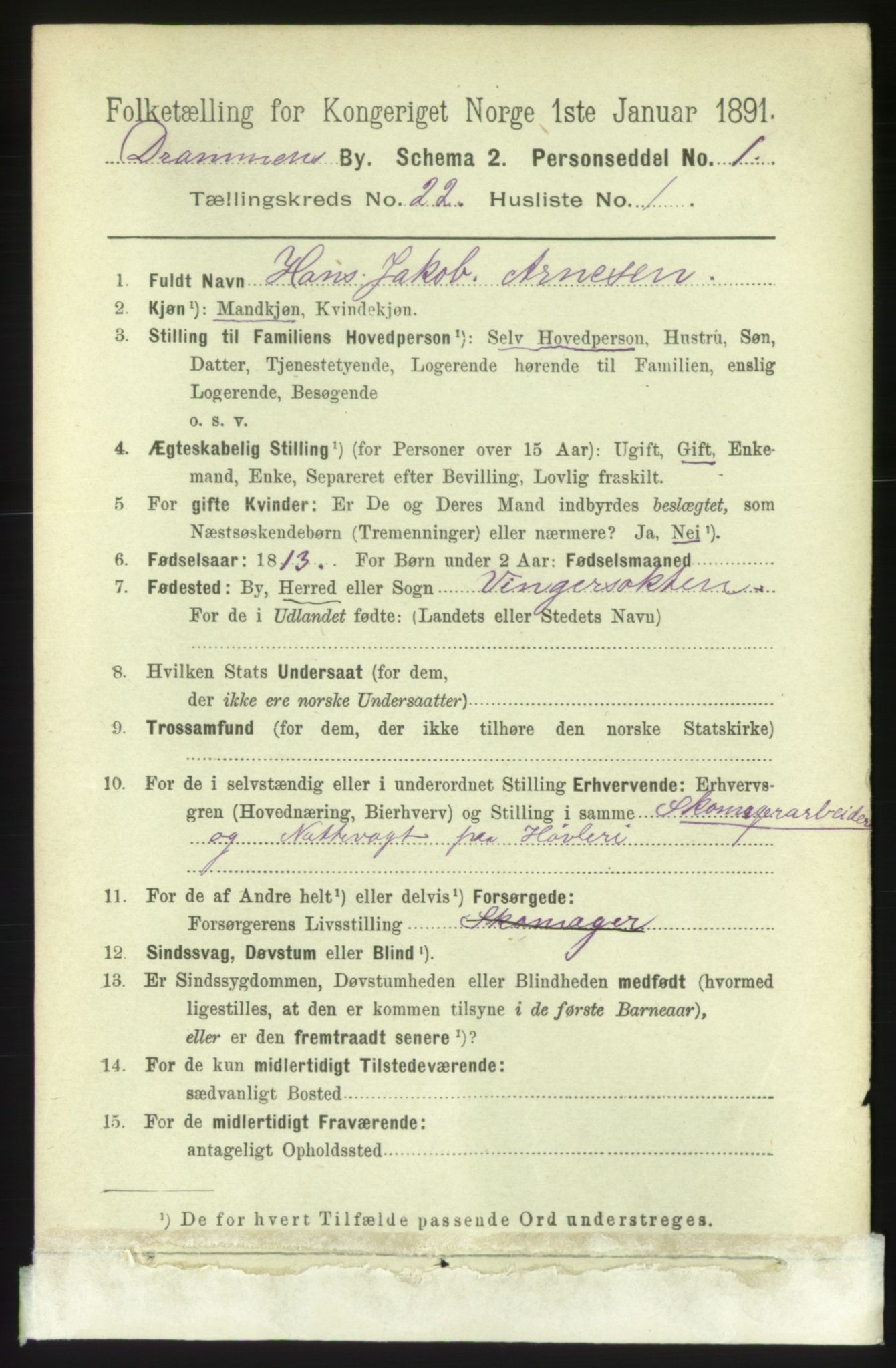 RA, 1891 census for 0602 Drammen, 1891, p. 13550