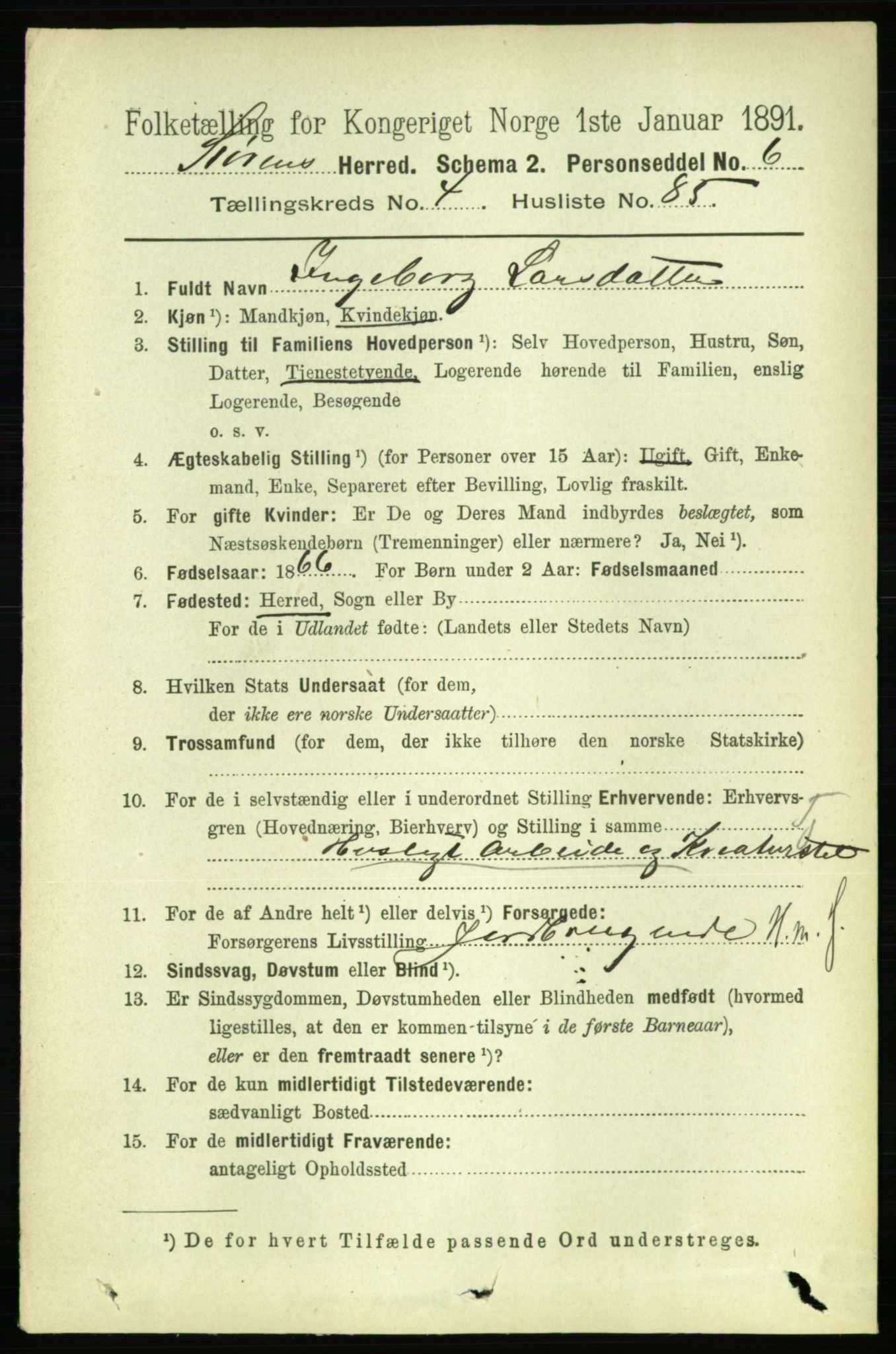 RA, 1891 census for 1648 Støren, 1891, p. 1874