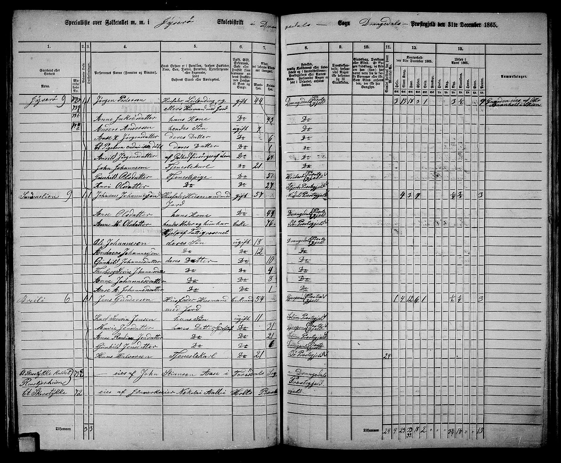 RA, 1865 census for Drangedal, 1865, p. 51