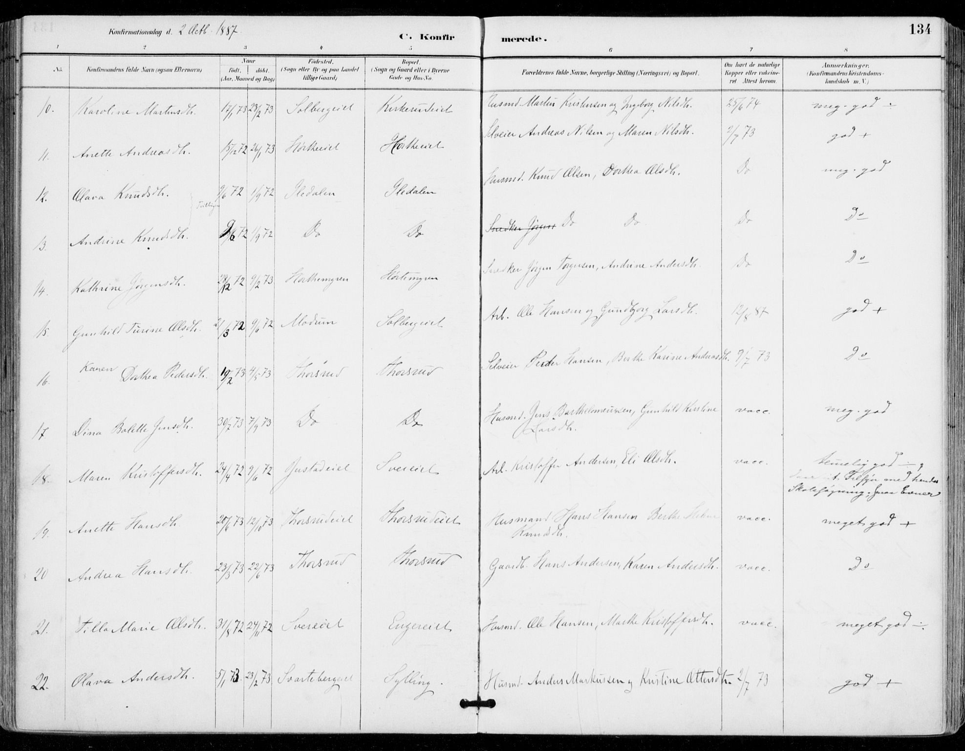 Sylling kirkebøker, AV/SAKO-A-247/F/Fa/L0001: Parish register (official) no. 1, 1883-1910, p. 134