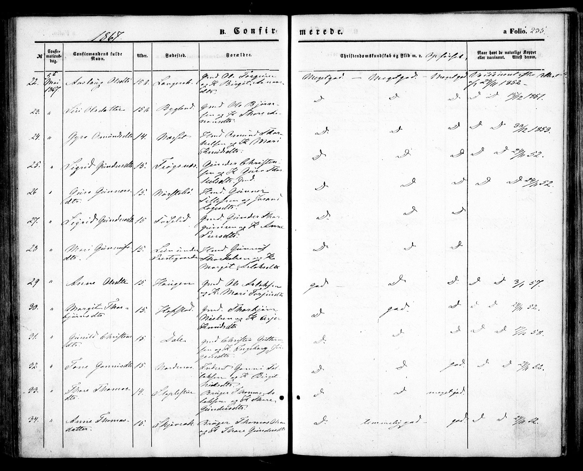 Bygland sokneprestkontor, AV/SAK-1111-0006/F/Fa/Fab/L0005: Parish register (official) no. A 5, 1859-1873, p. 235