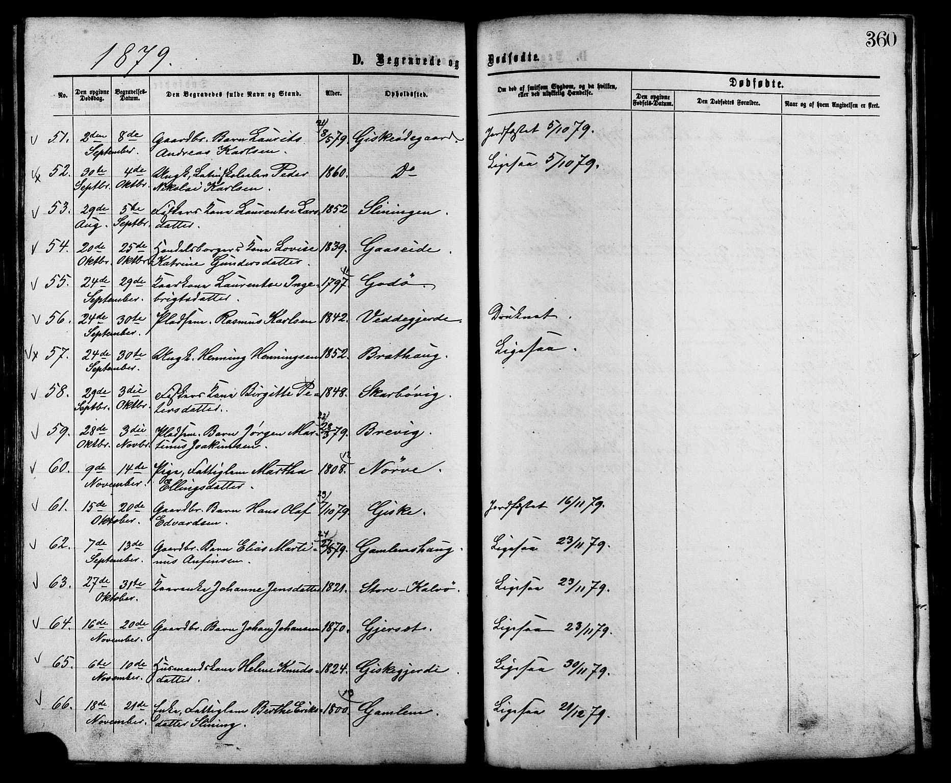 Ministerialprotokoller, klokkerbøker og fødselsregistre - Møre og Romsdal, AV/SAT-A-1454/528/L0399: Parish register (official) no. 528A10, 1864-1879, p. 360