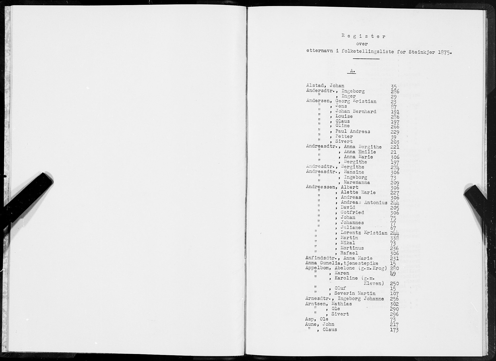 SAT, 1875 census for 1702B Steinkjer/Steinkjer, 1875