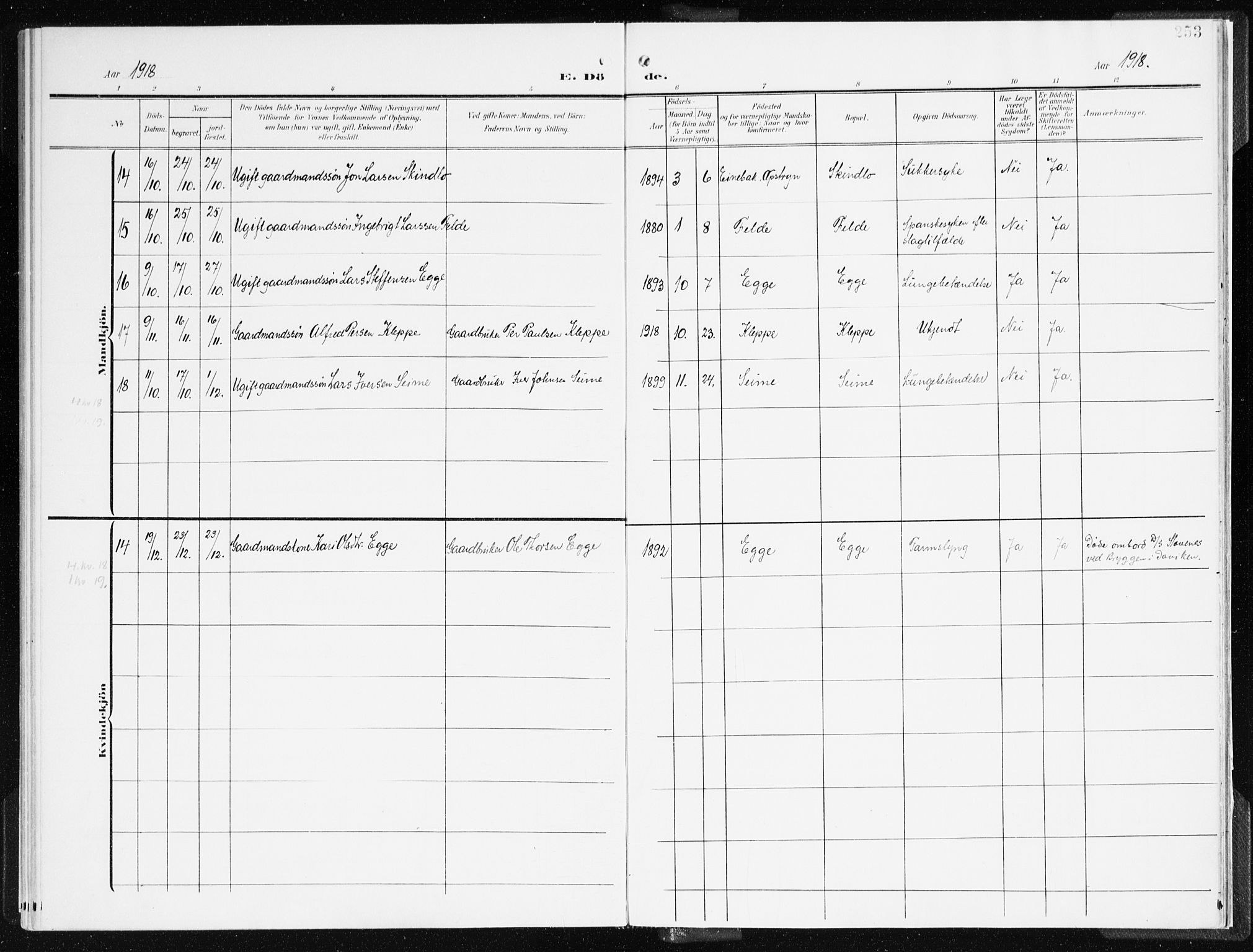 Gloppen sokneprestembete, AV/SAB-A-80101/H/Haa/Haac/L0003: Parish register (official) no. C 3, 1904-1921, p. 253