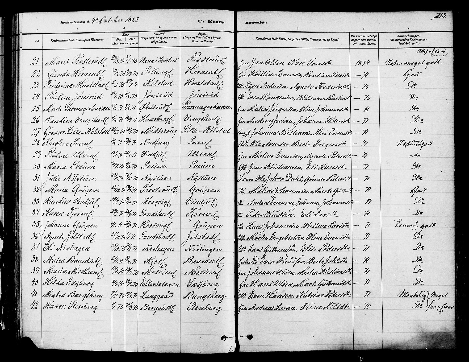 Ringsaker prestekontor, SAH/PREST-014/K/Ka/L0012: Parish register (official) no. 12, 1879-1890, p. 213