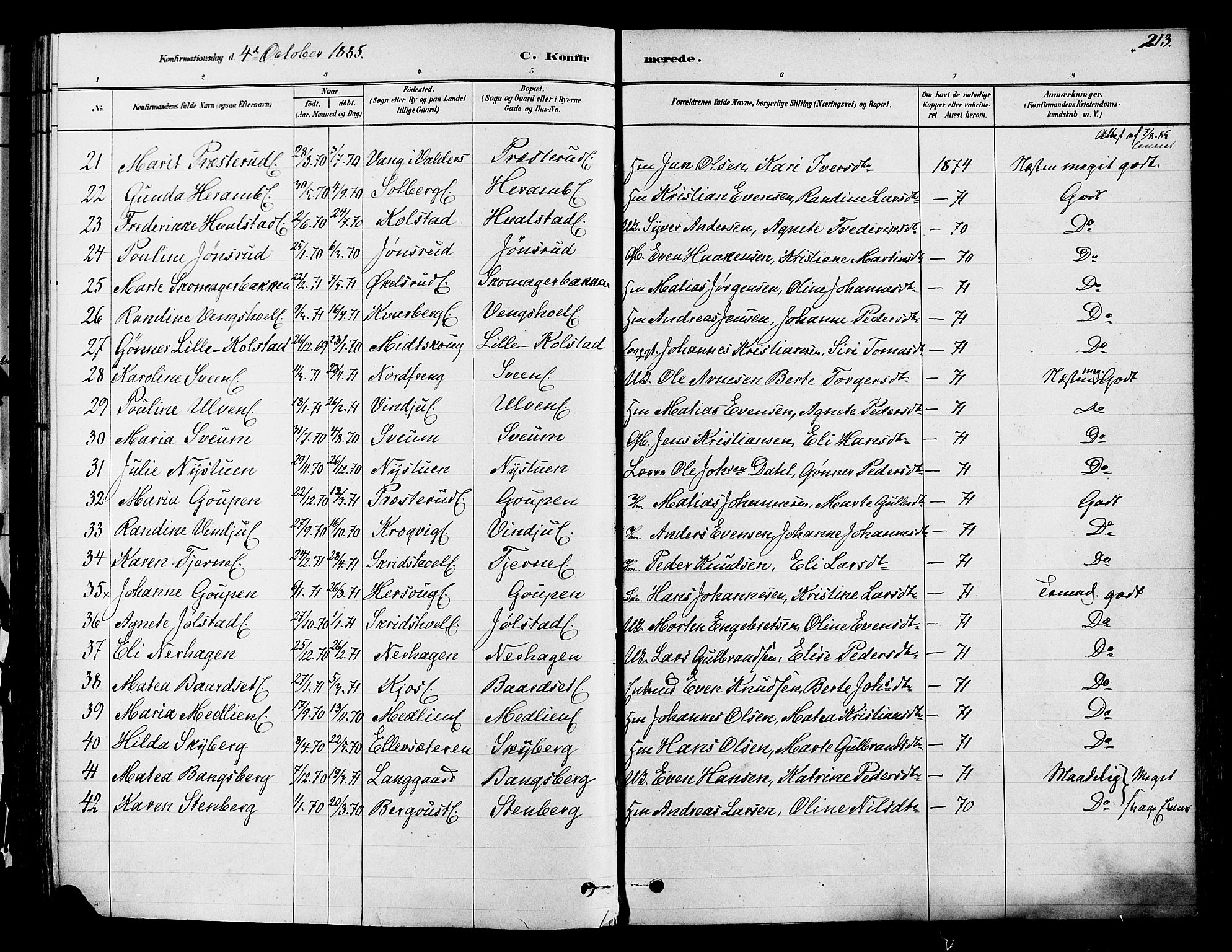 Ringsaker prestekontor, AV/SAH-PREST-014/K/Ka/L0012: Parish register (official) no. 12, 1879-1890, p. 213