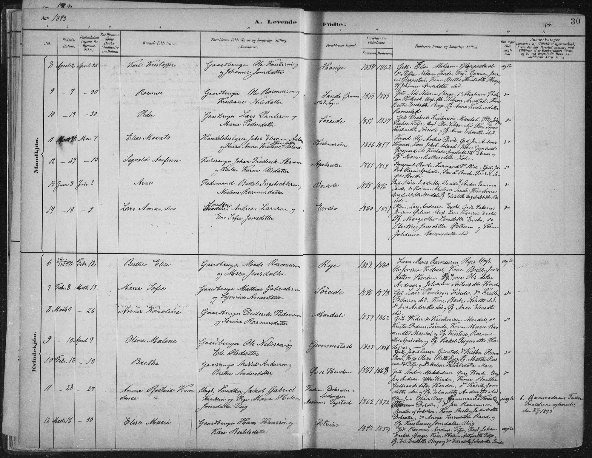 Gloppen sokneprestembete, AV/SAB-A-80101/H/Haa/Haab/L0001: Parish register (official) no. B  1, 1885-1905, p. 30