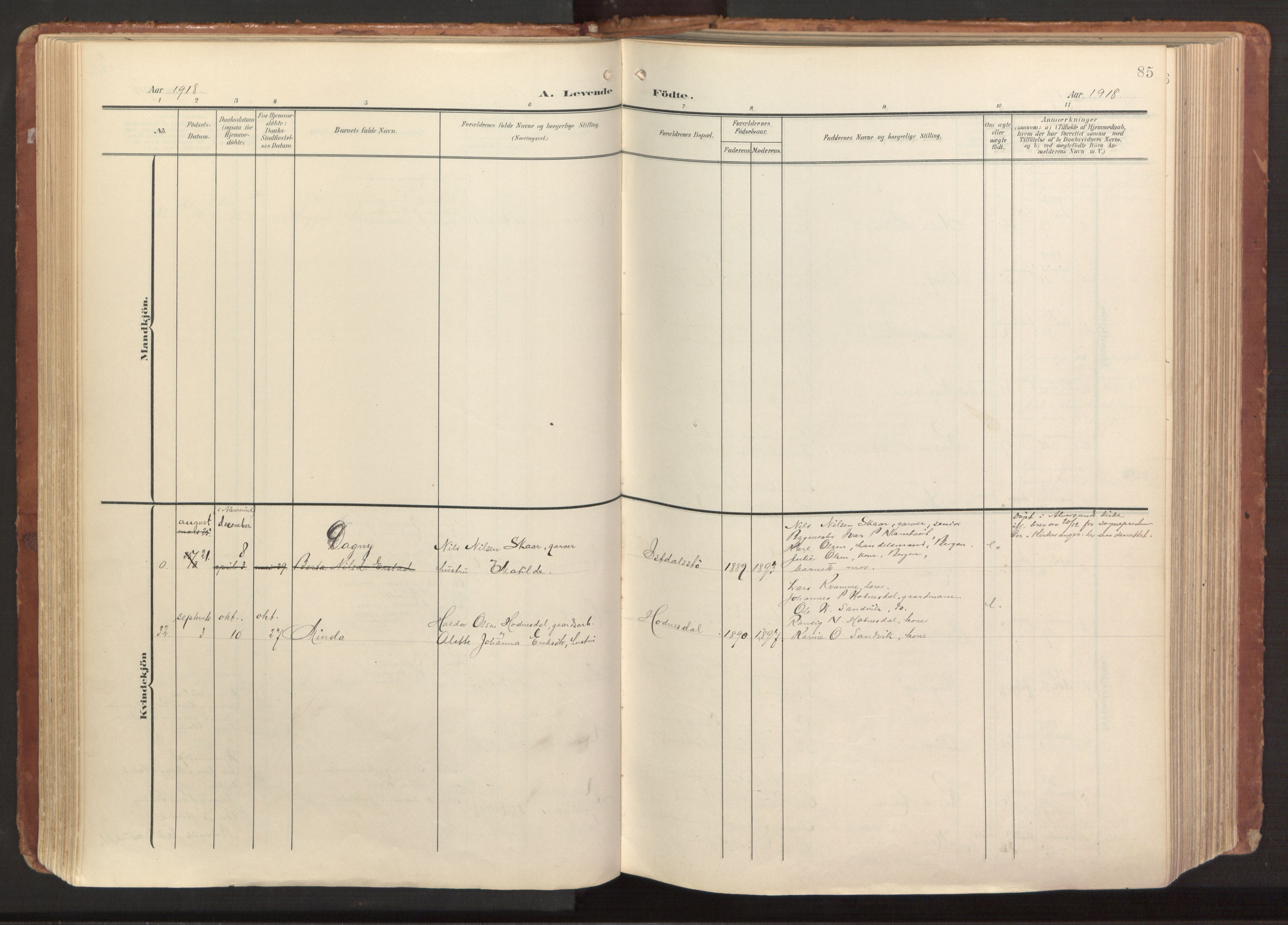 Hamre sokneprestembete, AV/SAB-A-75501/H/Ha/Haa/Haab/L0002: Parish register (official) no. B 2, 1905-1924, p. 85