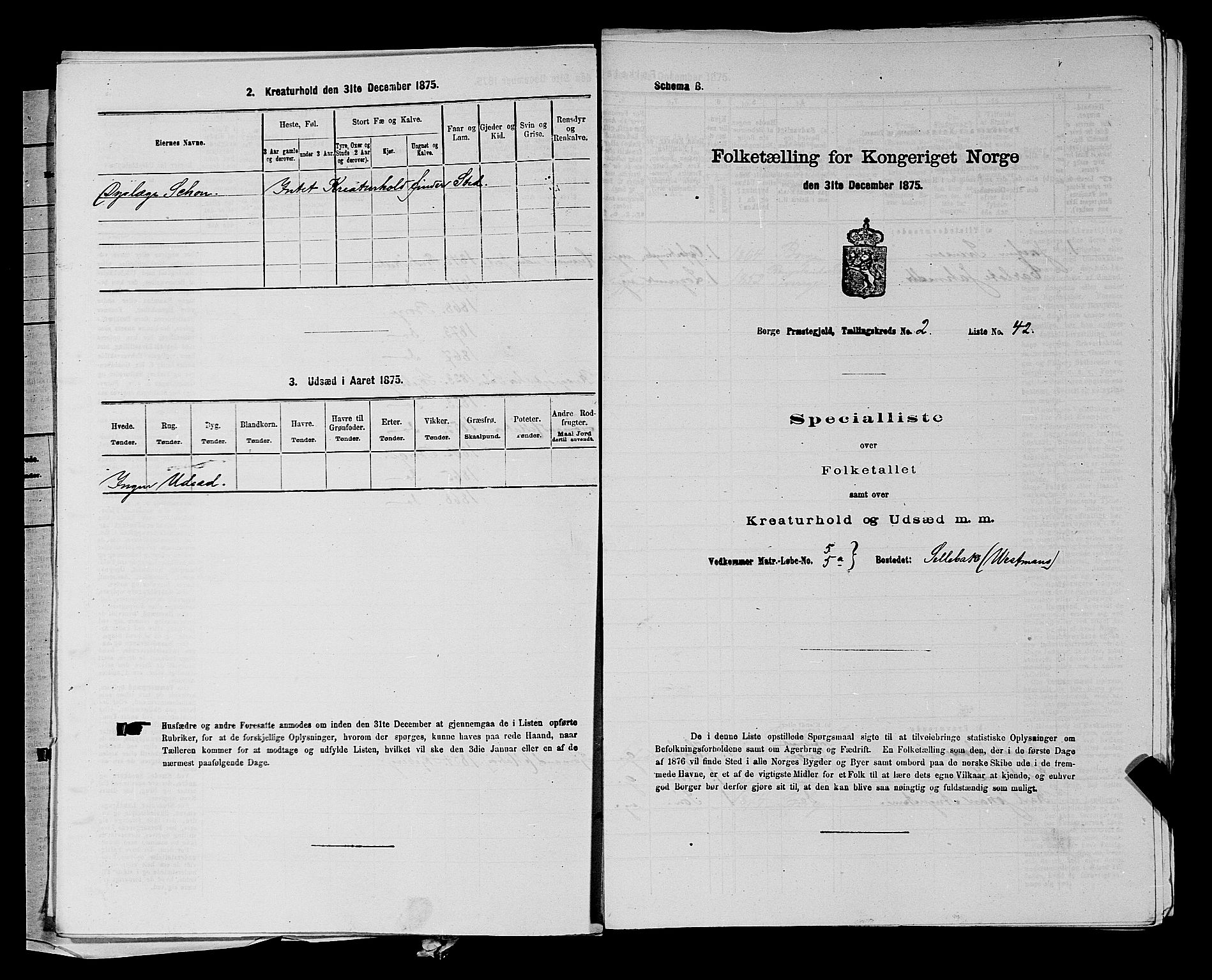 RA, 1875 census for 0113P Borge, 1875, p. 204