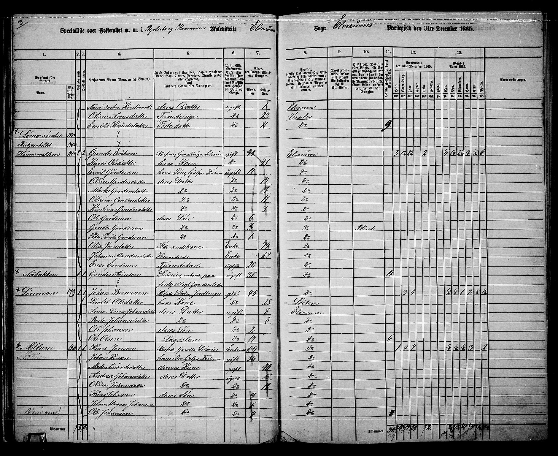 RA, 1865 census for Elverum, 1865, p. 27