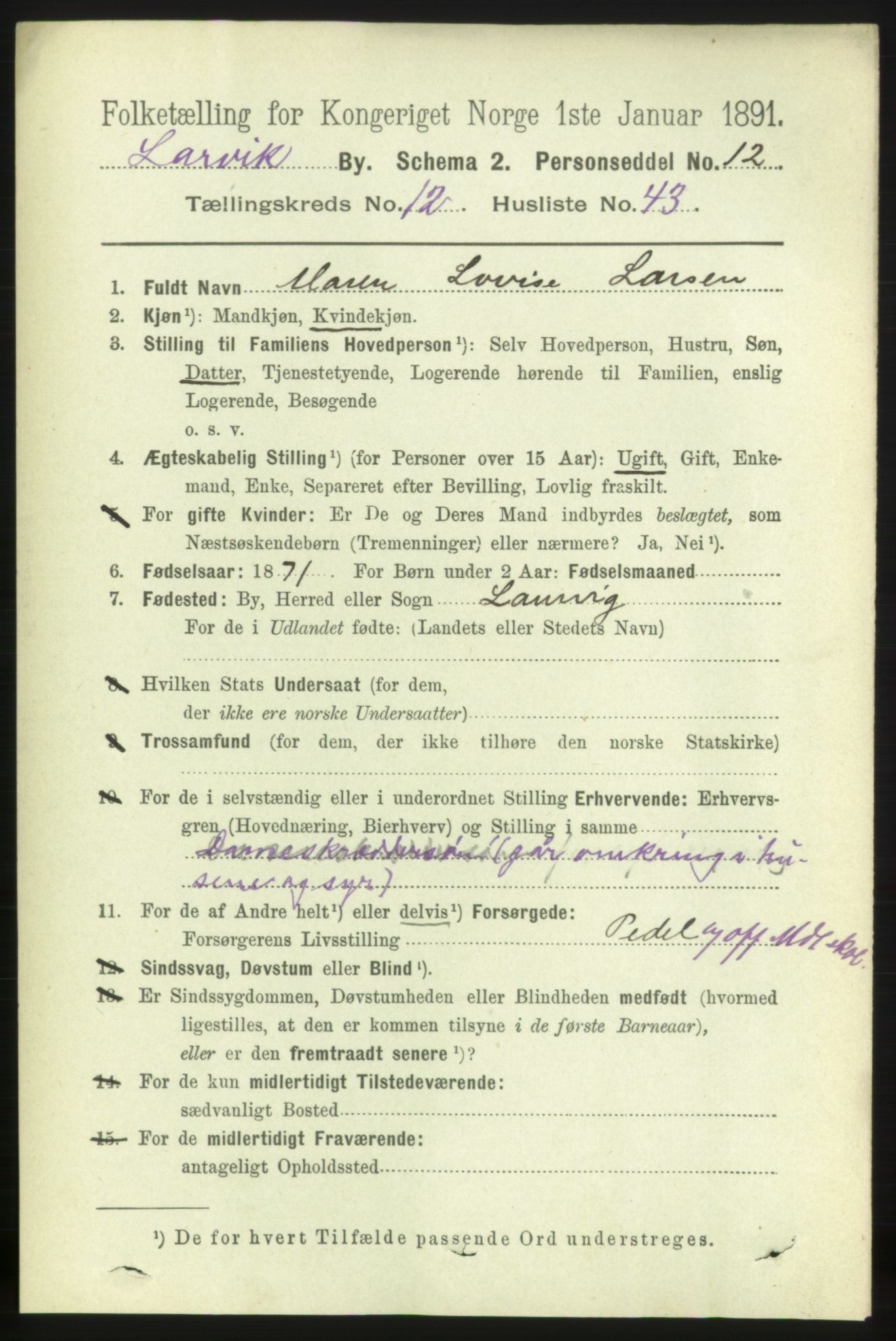 RA, 1891 census for 0707 Larvik, 1891, p. 10479