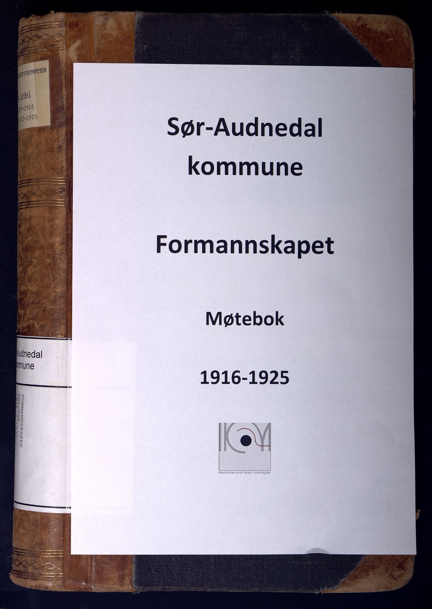 Sør-Audnedal kommune - Formannskapet/Kommunestyret, ARKSOR/1029SØ120/A/L0005: Møtebok, 1916-1925