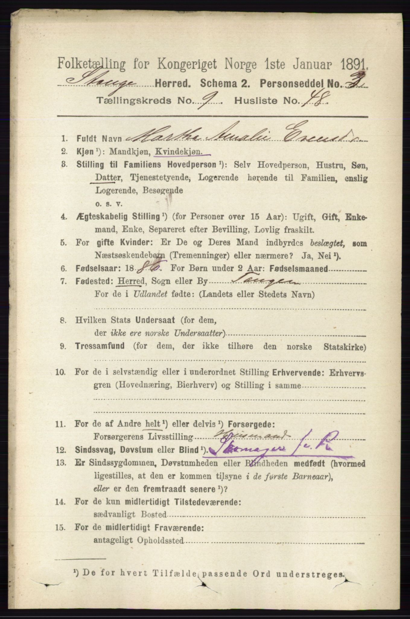 RA, 1891 census for 0417 Stange, 1891, p. 6321
