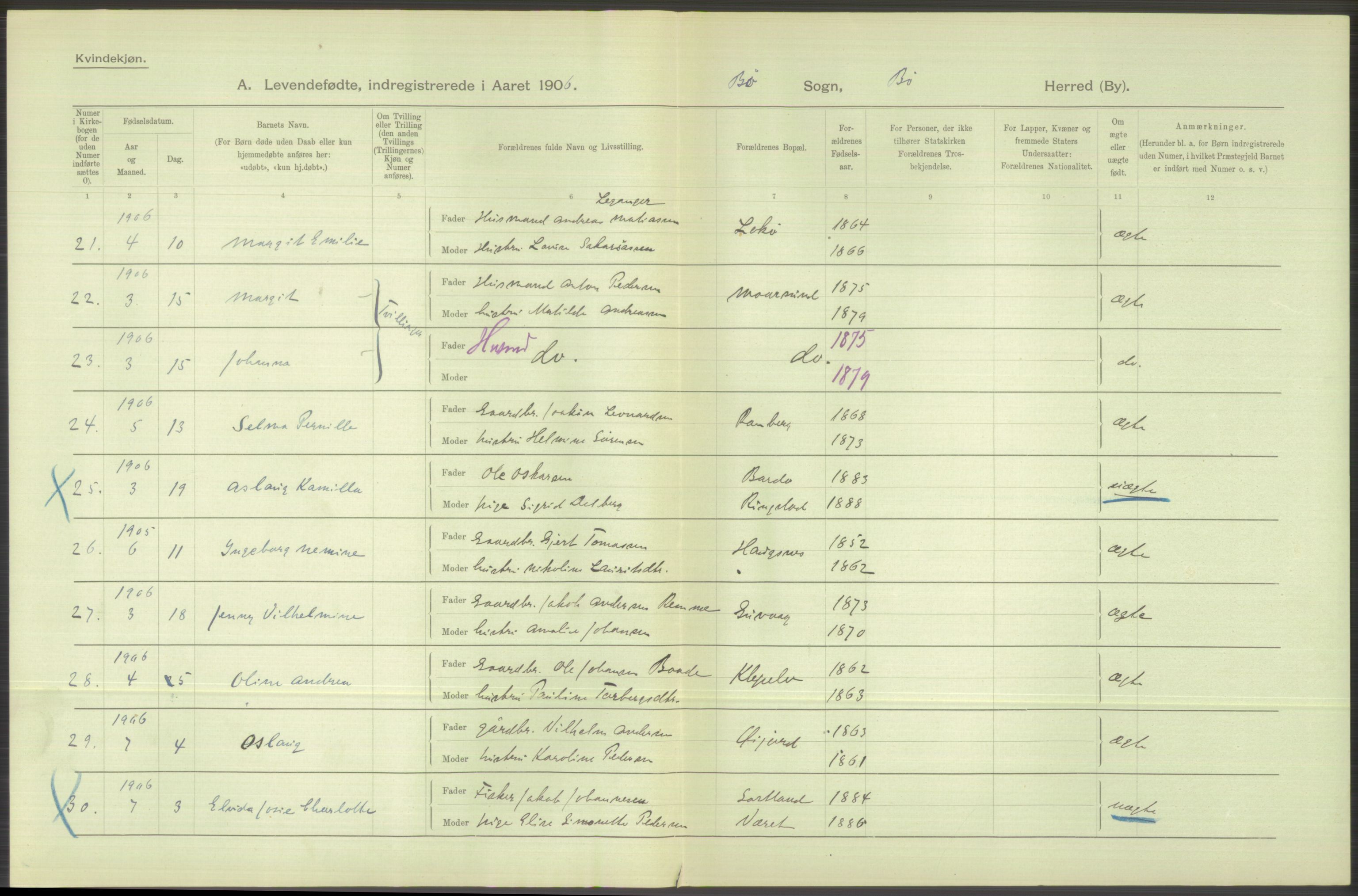 Statistisk sentralbyrå, Sosiodemografiske emner, Befolkning, AV/RA-S-2228/D/Df/Dfa/Dfad/L0044: Nordlands amt: Levendefødte menn og kvinner. Bygder., 1906, p. 60