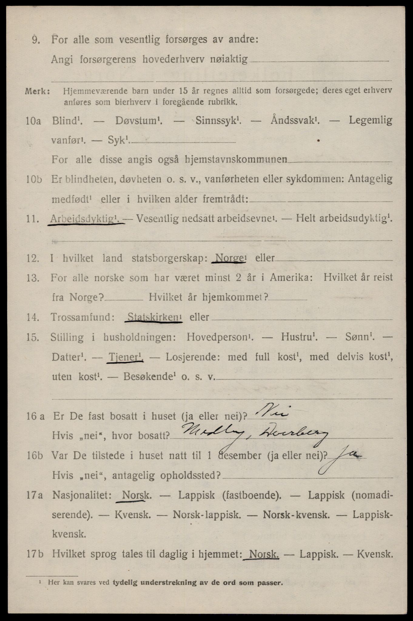 SAT, 1920 census for Dverberg, 1920, p. 11961