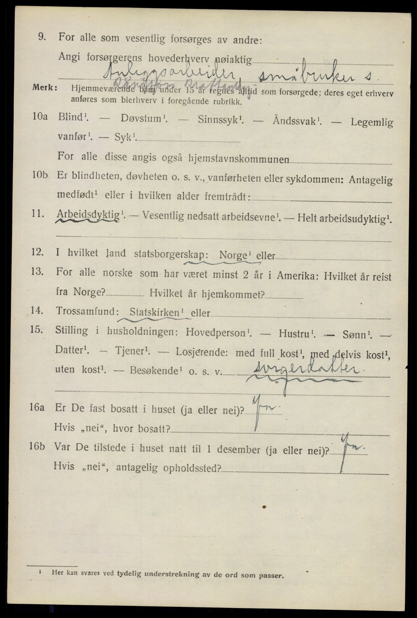 SAO, 1920 census for Nes, 1920, p. 15679