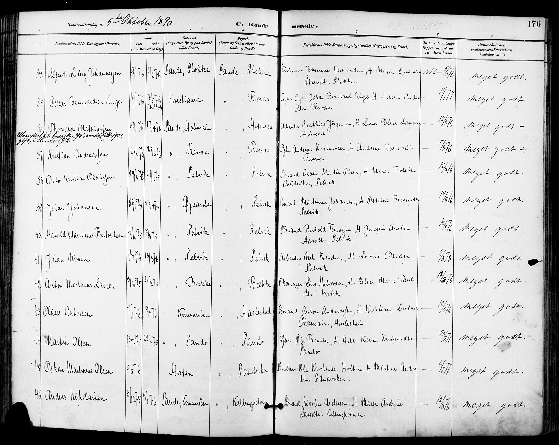 Sande Kirkebøker, AV/SAKO-A-53/F/Fa/L0007: Parish register (official) no. 7, 1888-1903, p. 176