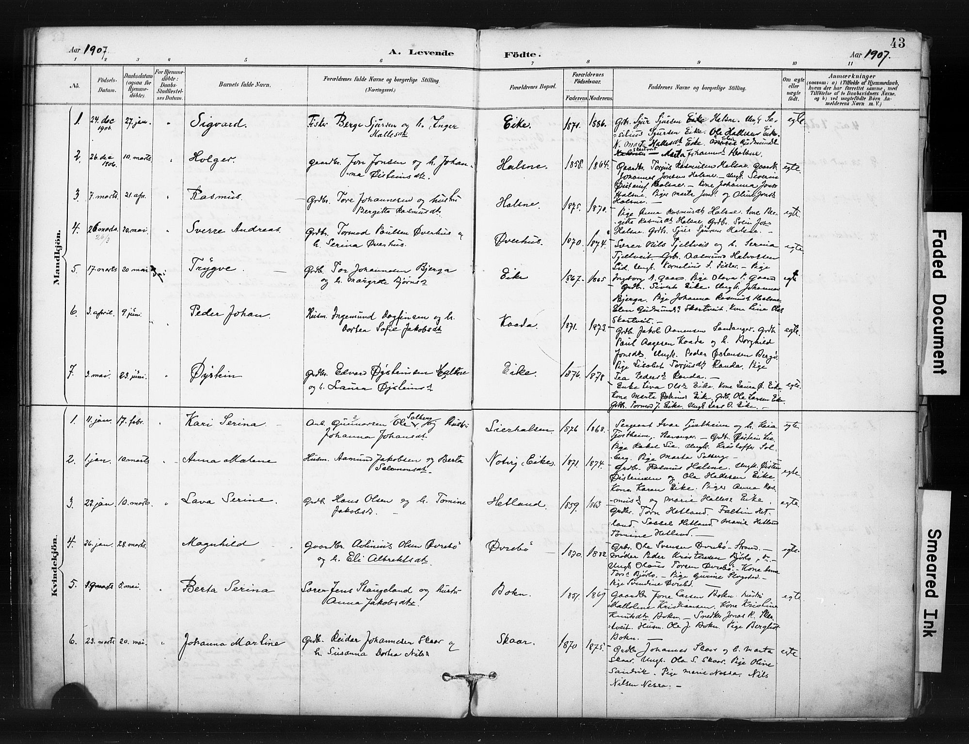 Hjelmeland sokneprestkontor, SAST/A-101843/01/IV/L0015: Parish register (official) no. A 15, 1887-1910, p. 43