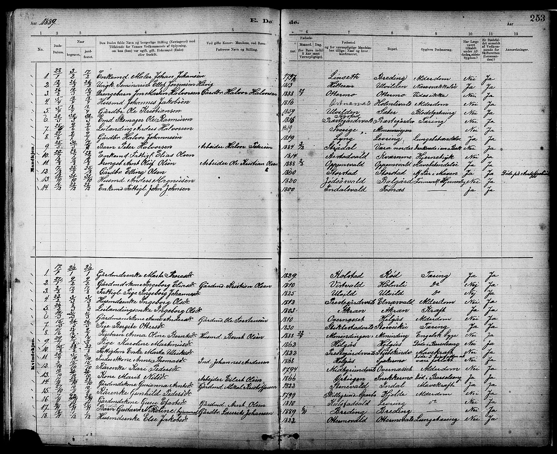 Ministerialprotokoller, klokkerbøker og fødselsregistre - Nord-Trøndelag, SAT/A-1458/724/L0267: Parish register (copy) no. 724C03, 1879-1898, p. 253