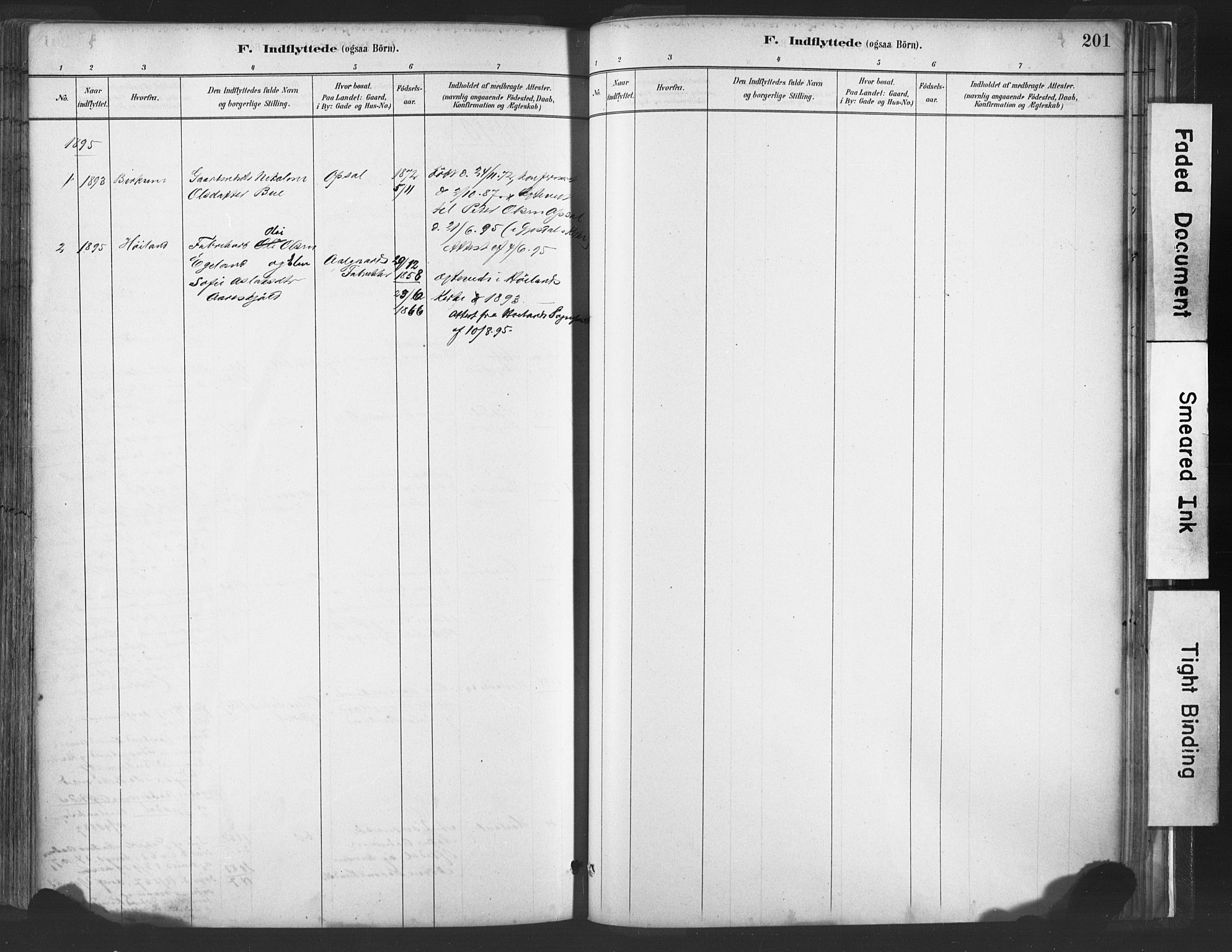 Lye sokneprestkontor, AV/SAST-A-101794/001/30BA/L0010: Parish register (official) no. A 10, 1881-1896, p. 201