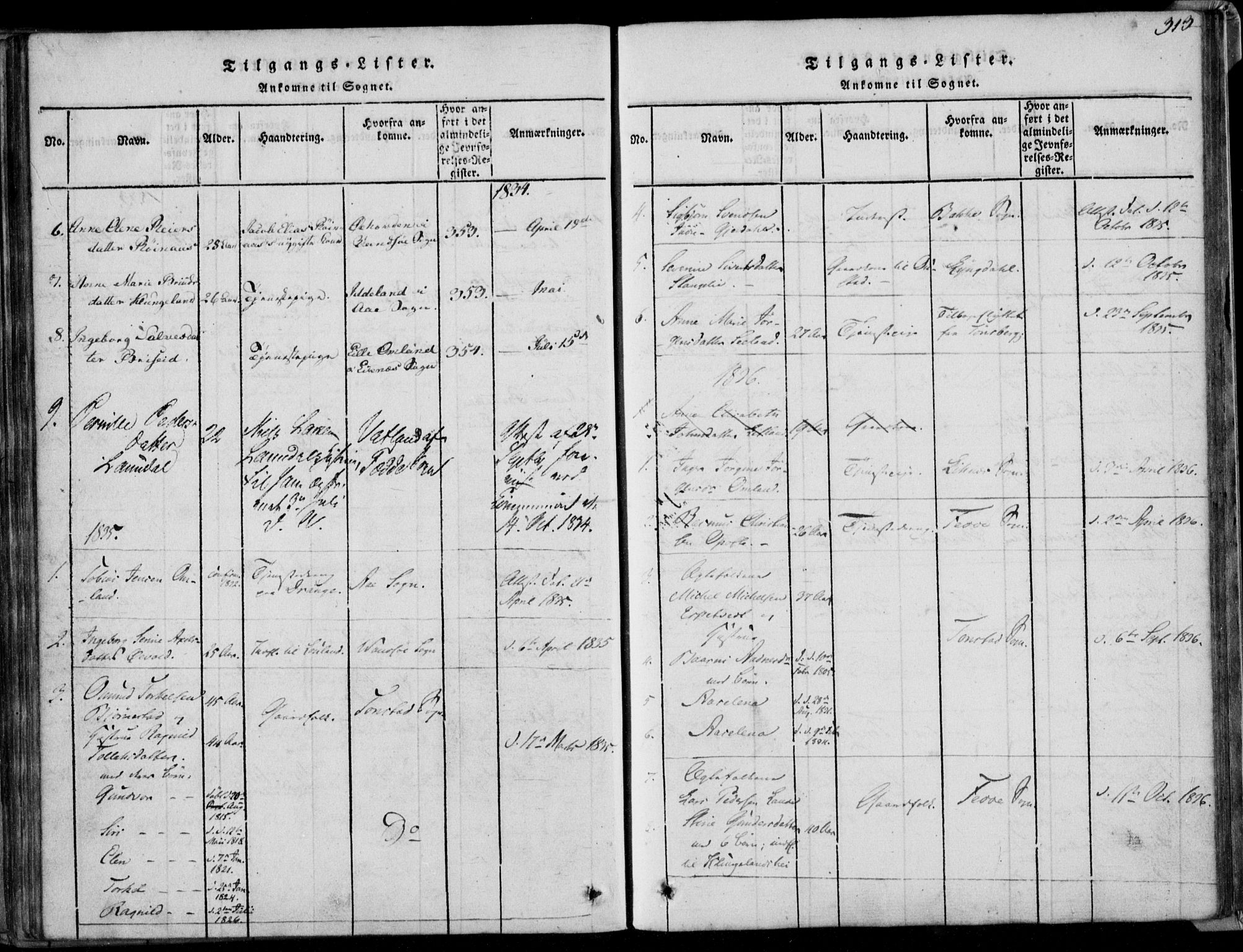 Herad sokneprestkontor, SAK/1111-0018/F/Fa/Faa/L0003: Parish register (official) no. A 3, 1816-1844, p. 313