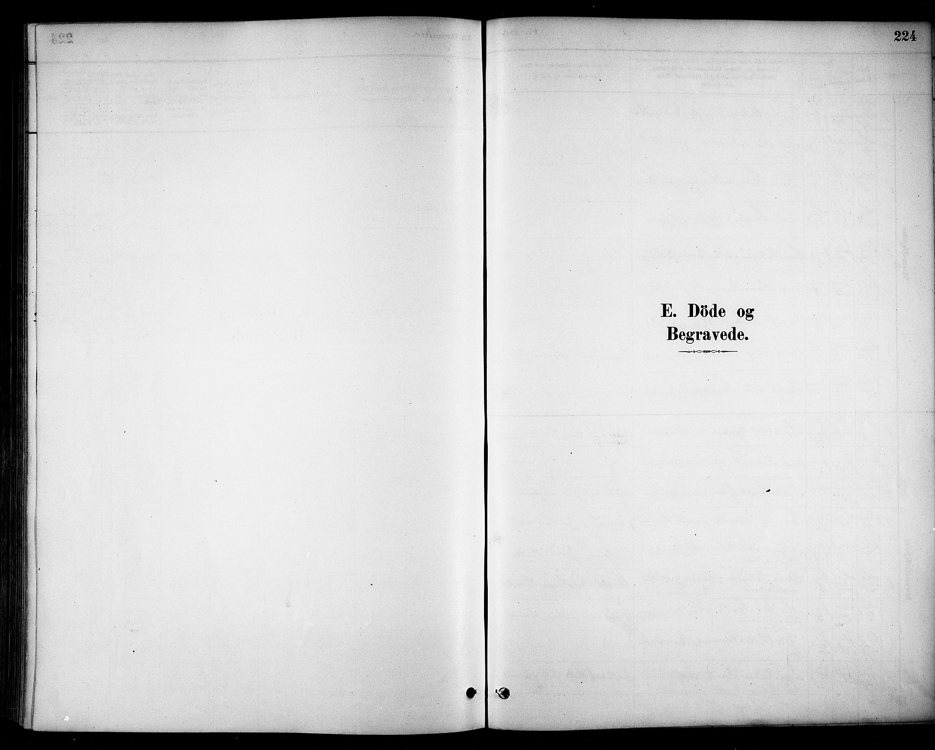 Stange prestekontor, SAH/PREST-002/K/L0018: Parish register (official) no. 18, 1880-1896, p. 224