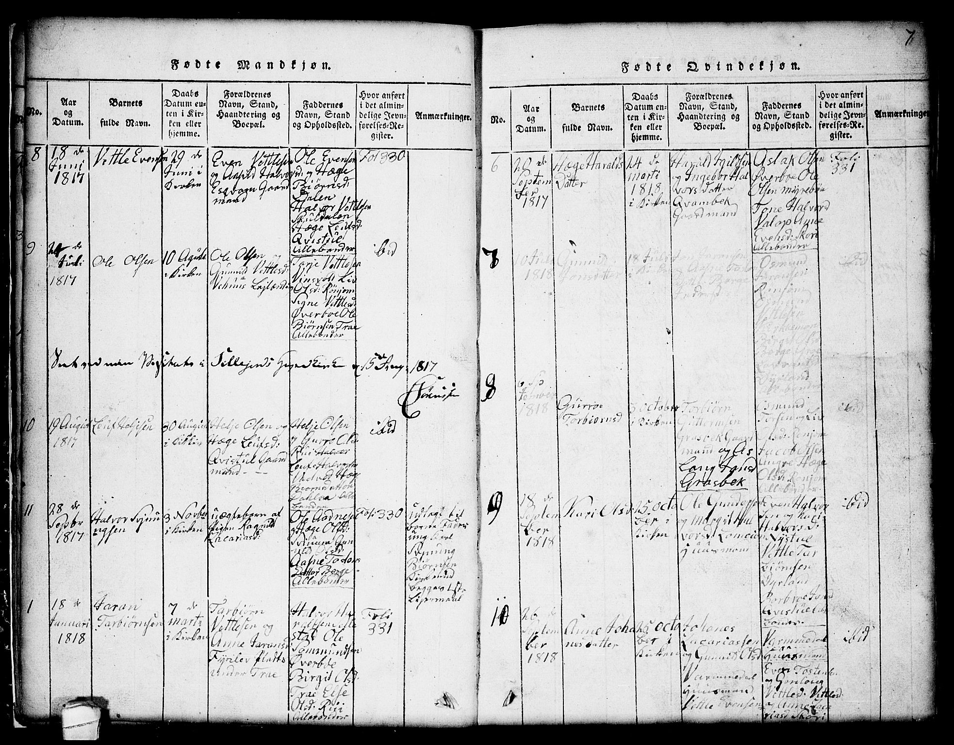 Seljord kirkebøker, SAKO/A-20/G/Gc/L0001: Parish register (copy) no. III 1, 1815-1849, p. 7