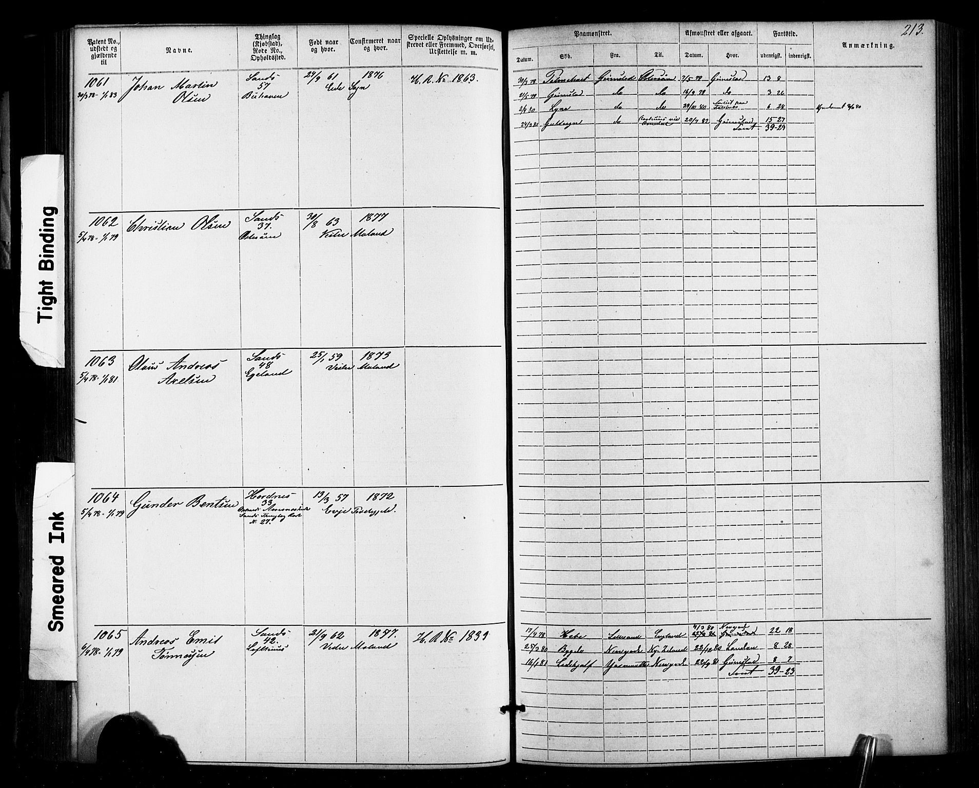 Lillesand mønstringskrets, SAK/2031-0014/F/Fa/L0002: Annotasjonsrulle nr 1-1910 med register, W-8, 1868-1891, p. 219