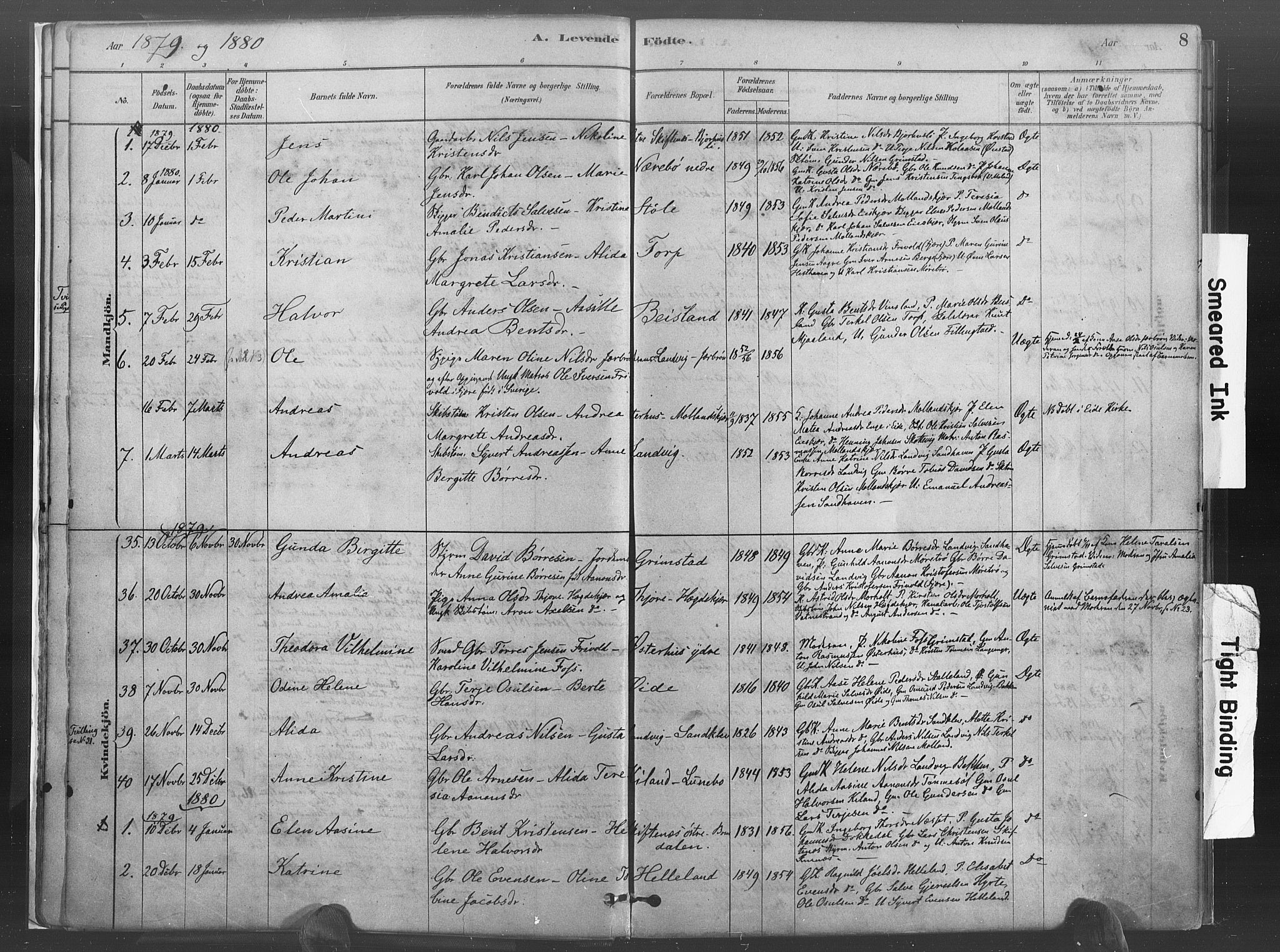 Hommedal sokneprestkontor, AV/SAK-1111-0023/F/Fa/Fab/L0006: Parish register (official) no. A 6, 1878-1897, p. 8