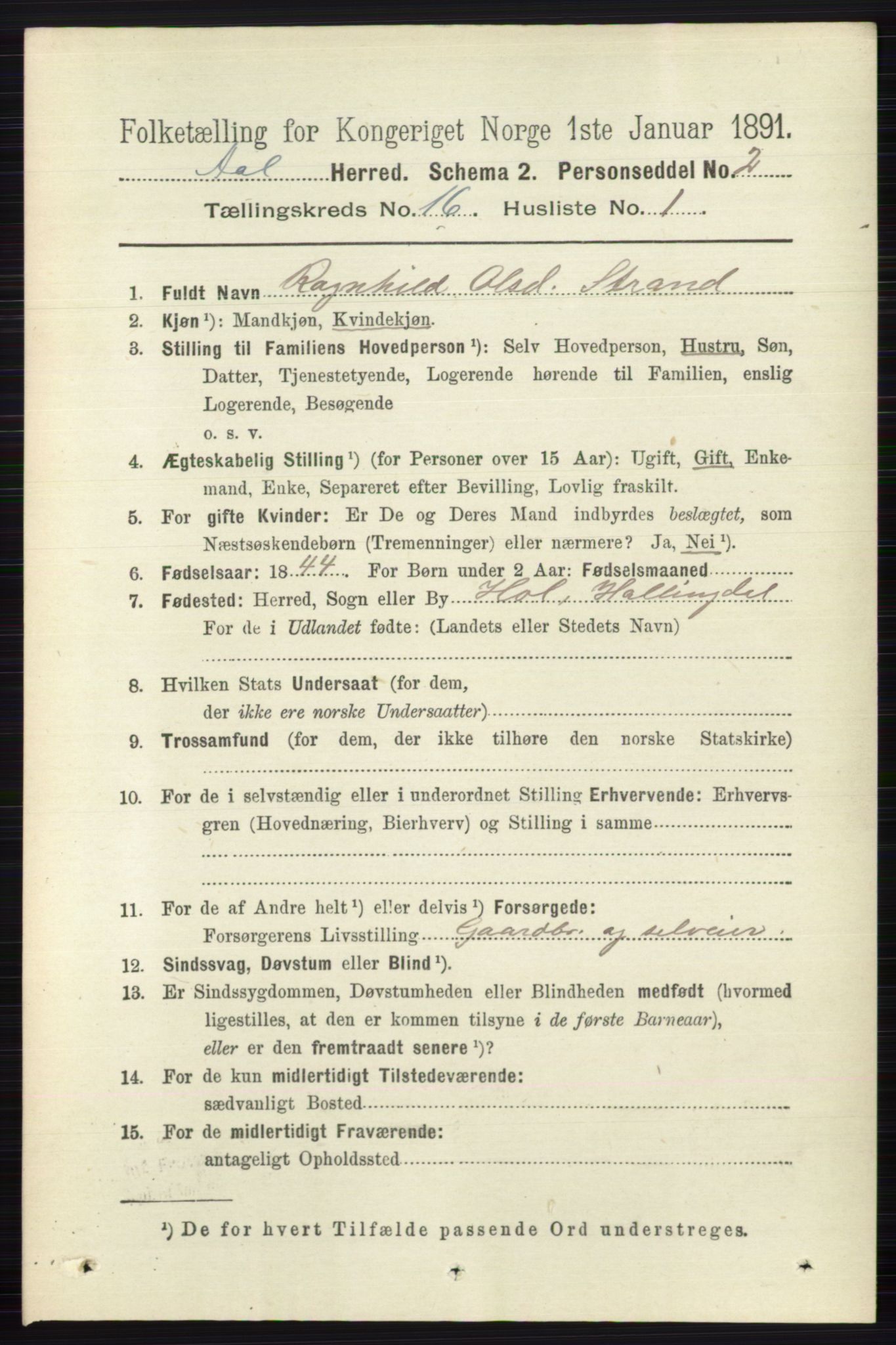 RA, 1891 census for 0619 Ål, 1891, p. 4045